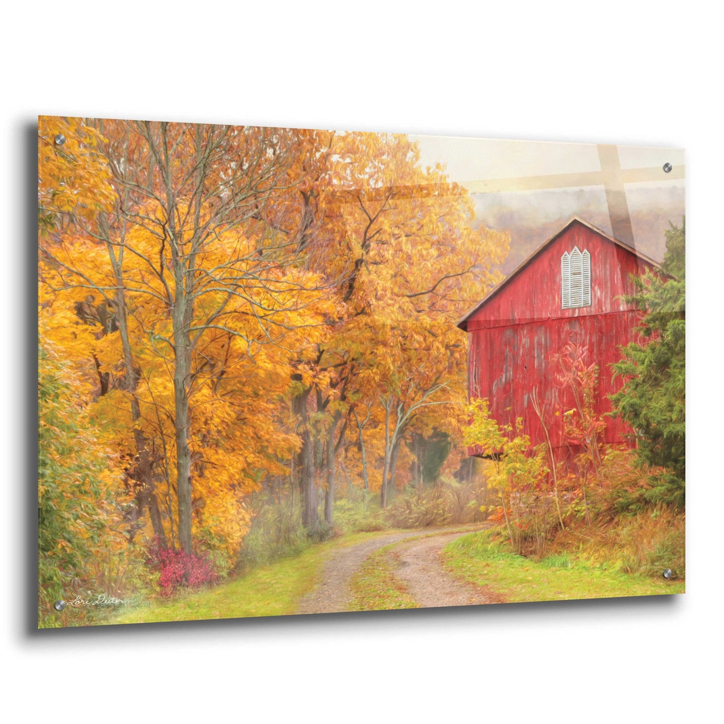 Epic Art 'Hidden Barn' by Lori Deiter, Acrylic Glass Wall Art,36x24