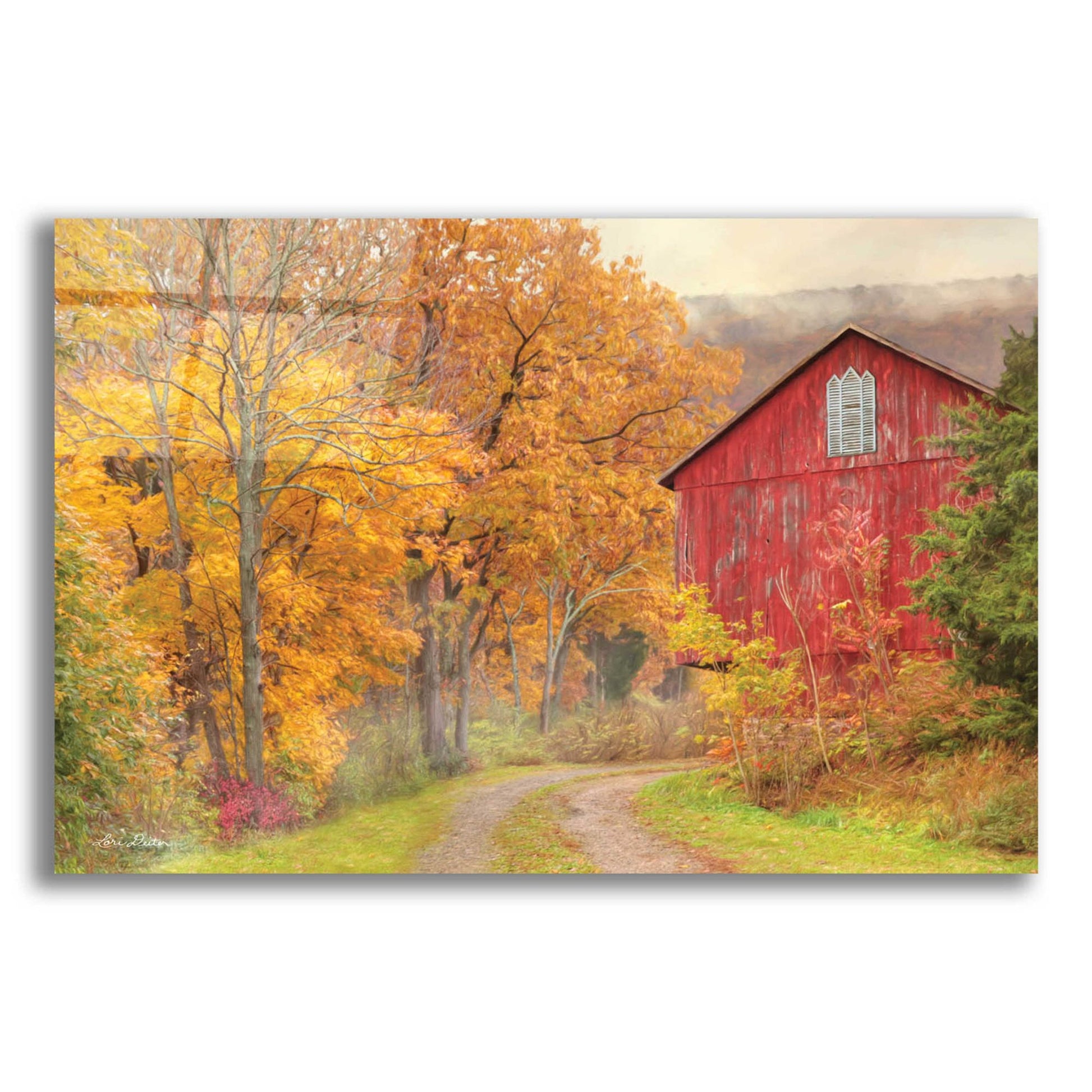 Epic Art 'Hidden Barn' by Lori Deiter, Acrylic Glass Wall Art