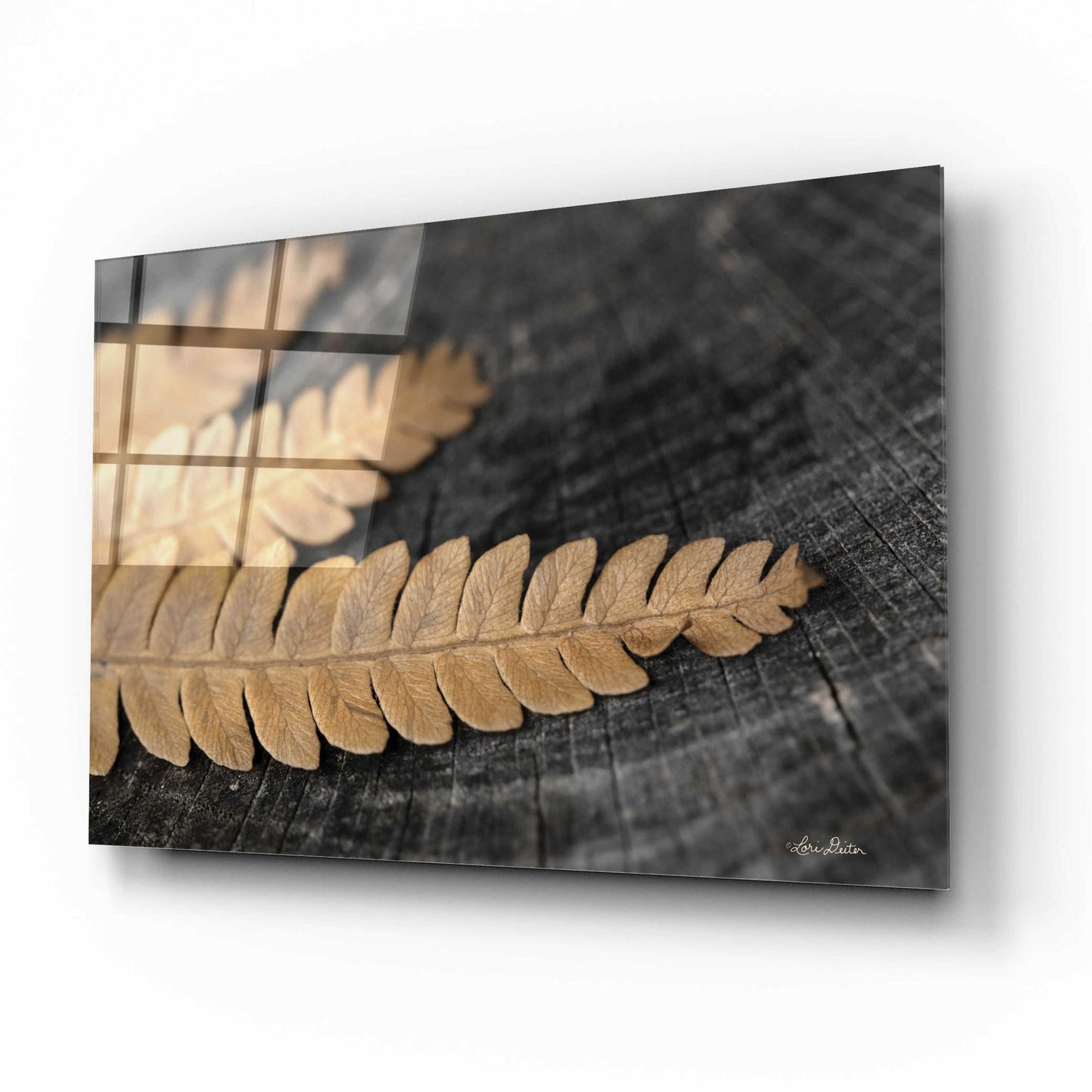 Epic Art 'Gold on Black V' by Lori Deiter, Acrylic Glass Wall Art,16x12