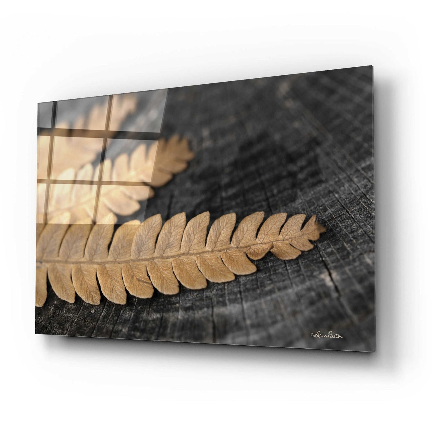 Epic Art 'Gold on Black V' by Lori Deiter, Acrylic Glass Wall Art,24x16