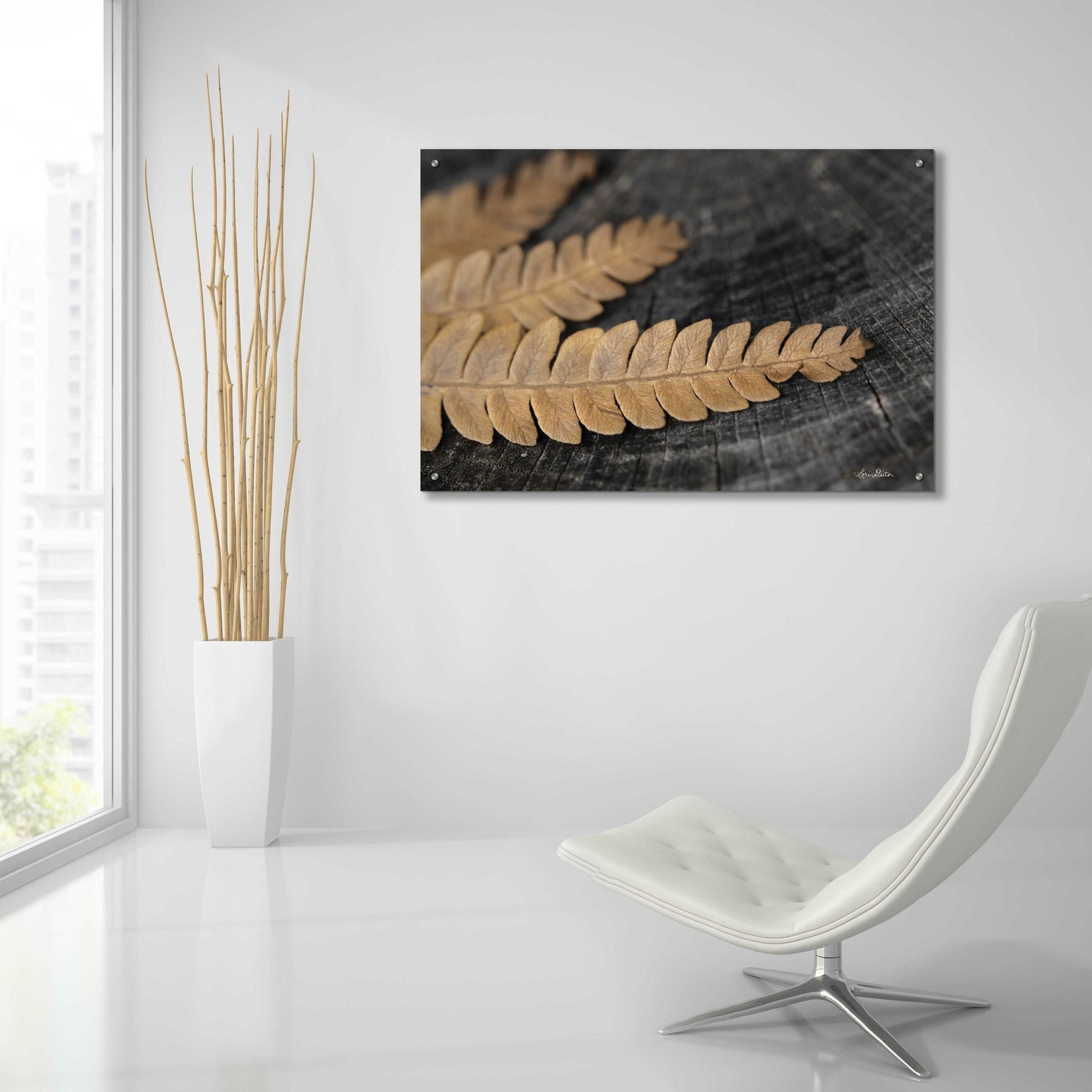 Epic Art 'Gold on Black V' by Lori Deiter, Acrylic Glass Wall Art,36x24