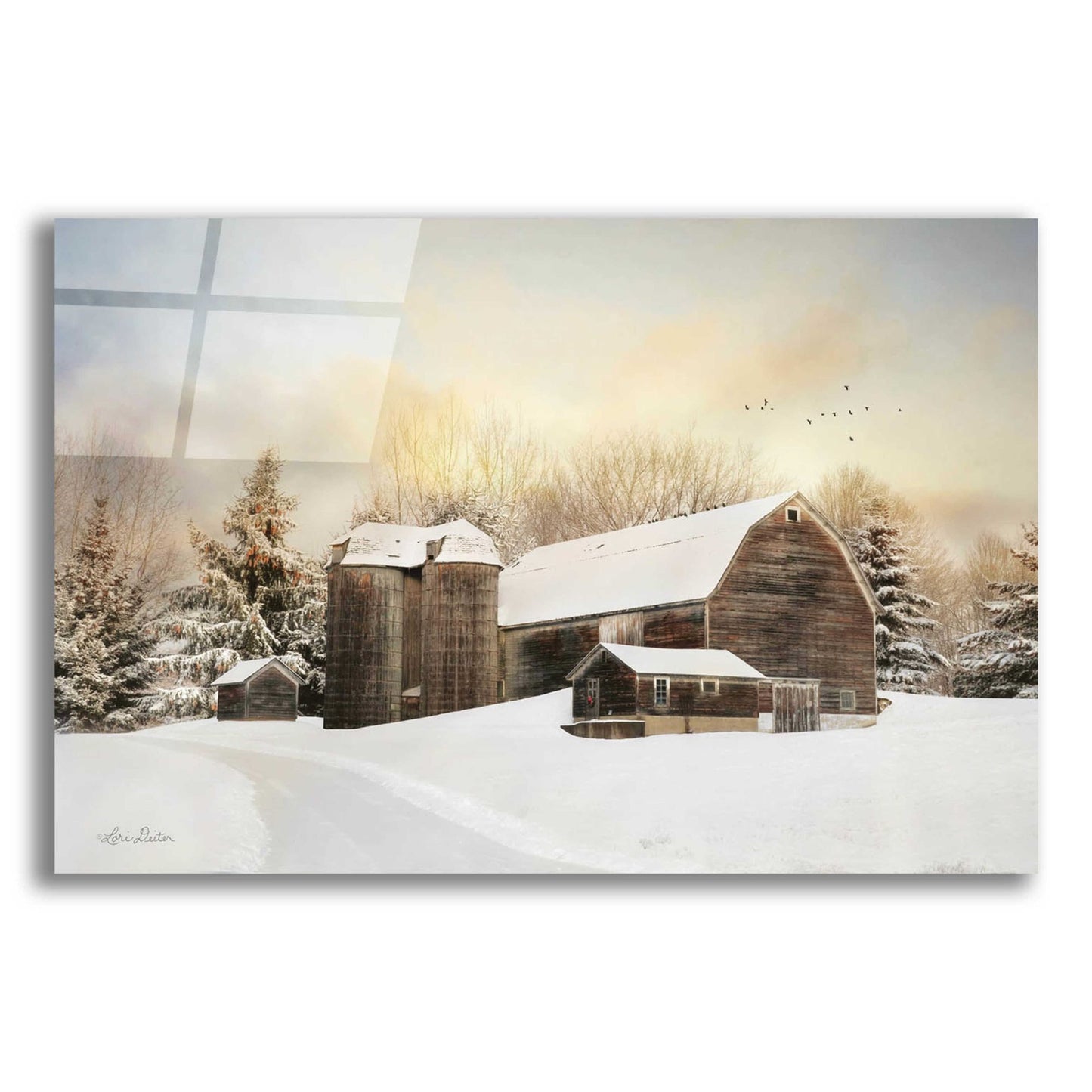 Epic Art 'The Color of Winter' by Lori Deiter Acrylic Glass Wall Art