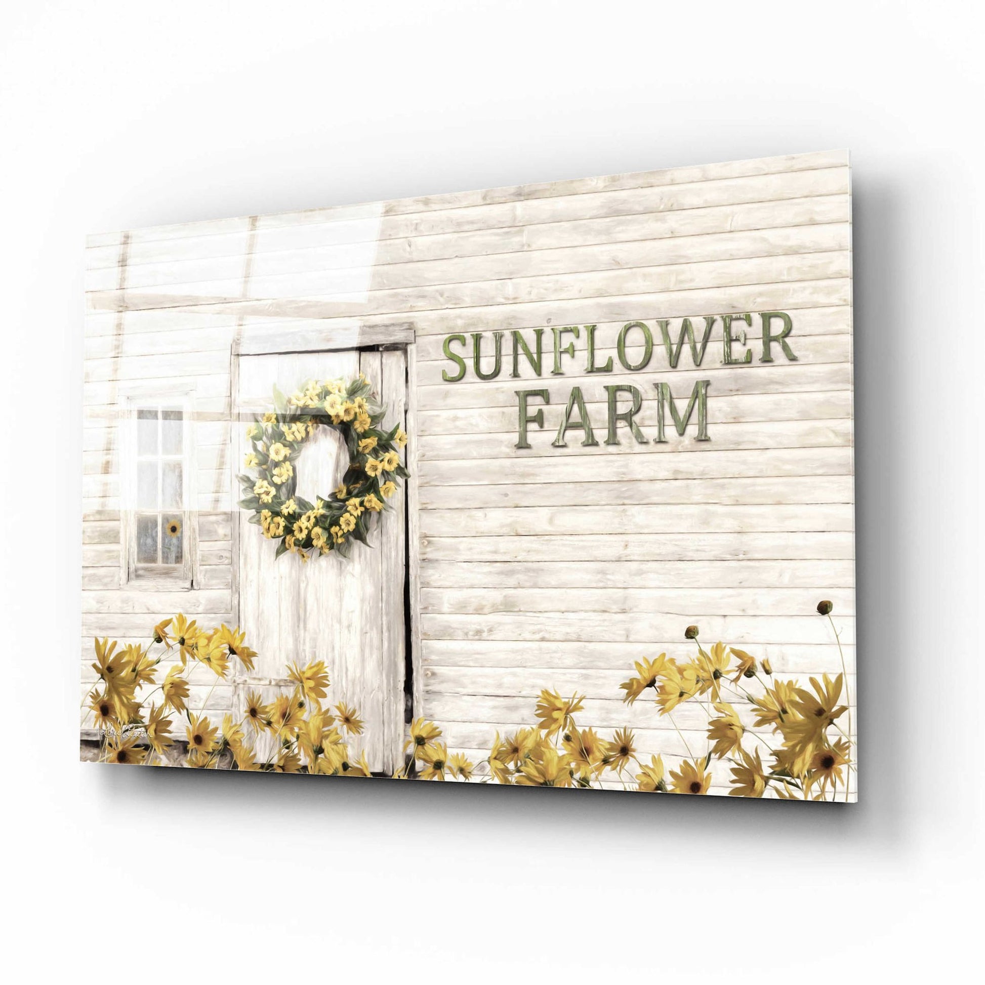 Epic Art 'Sunflower Farm' by Lori Deiter Acrylic Glass Wall Art,16x12