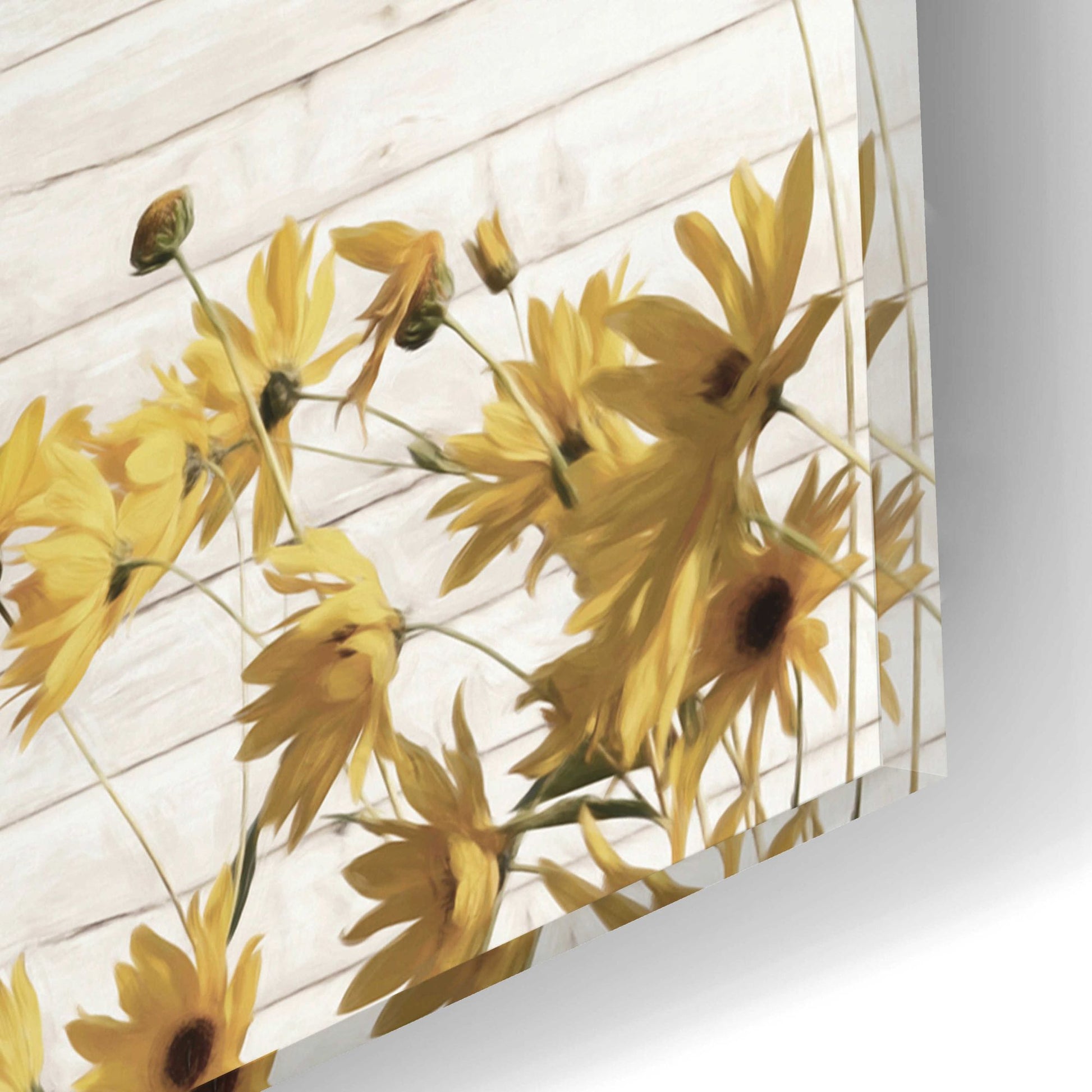 Epic Art 'Sunflower Farm' by Lori Deiter Acrylic Glass Wall Art,16x12