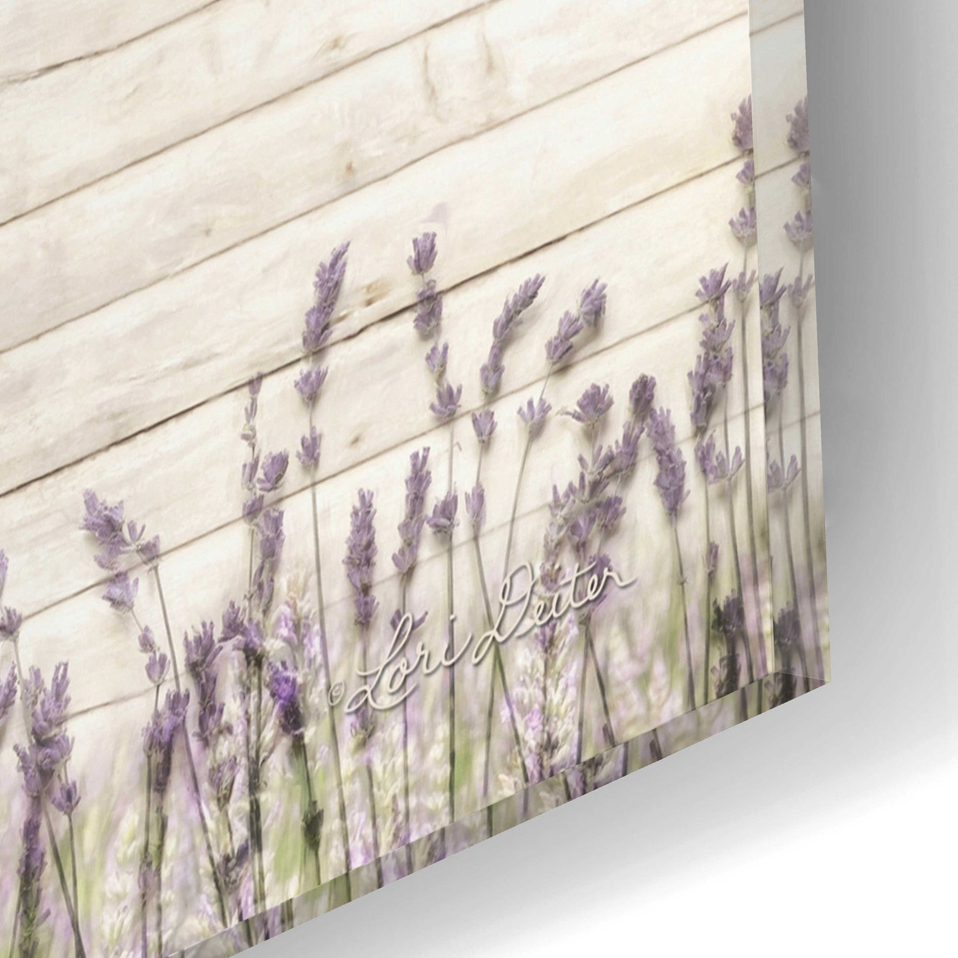 Epic Art 'Lavender Farm' by Lori Deiter Acrylic Glass Wall Art,16x12