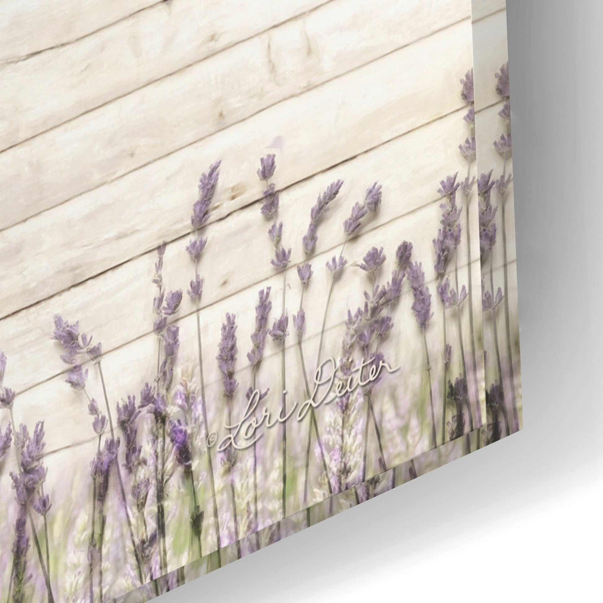 Epic Art 'Lavender Farm' by Lori Deiter Acrylic Glass Wall Art,24x16