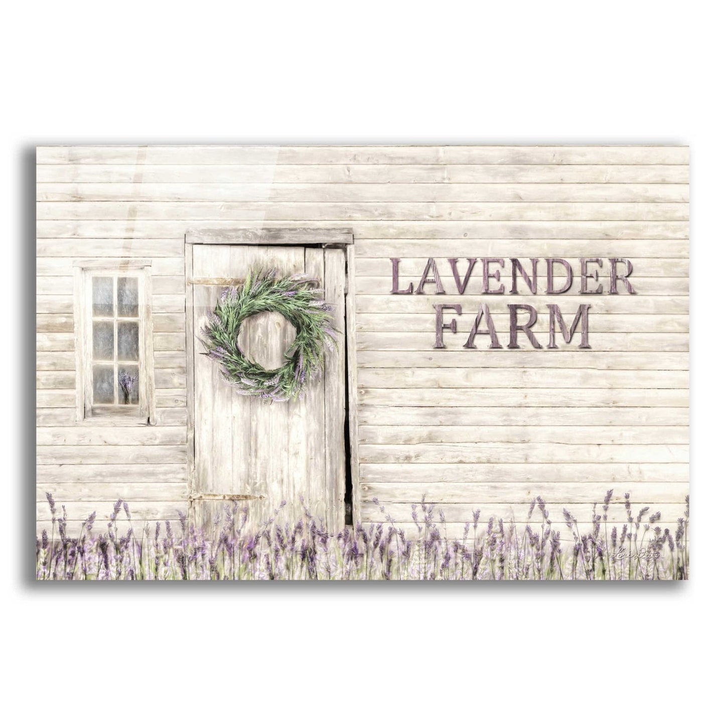 Epic Art 'Lavender Farm' by Lori Deiter Acrylic Glass Wall Art,24x16