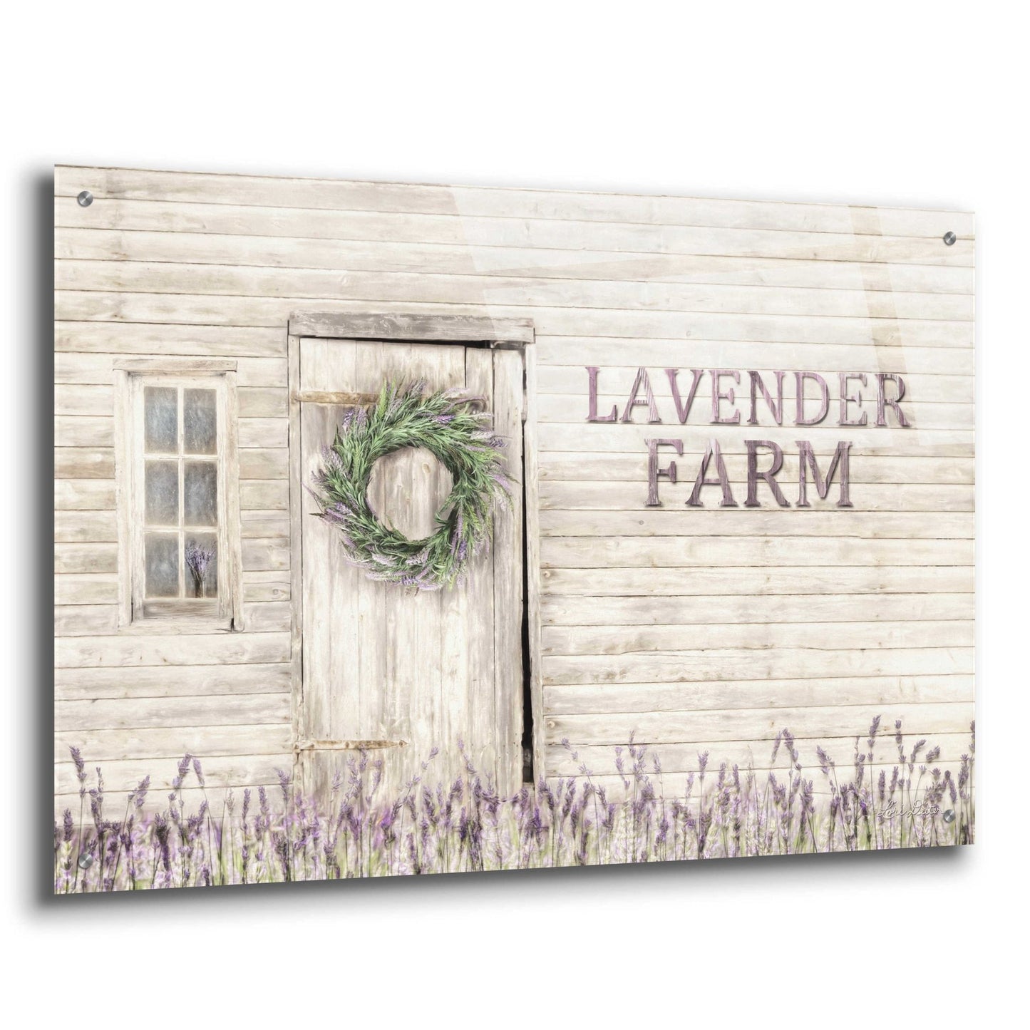 Epic Art 'Lavender Farm' by Lori Deiter Acrylic Glass Wall Art,36x24