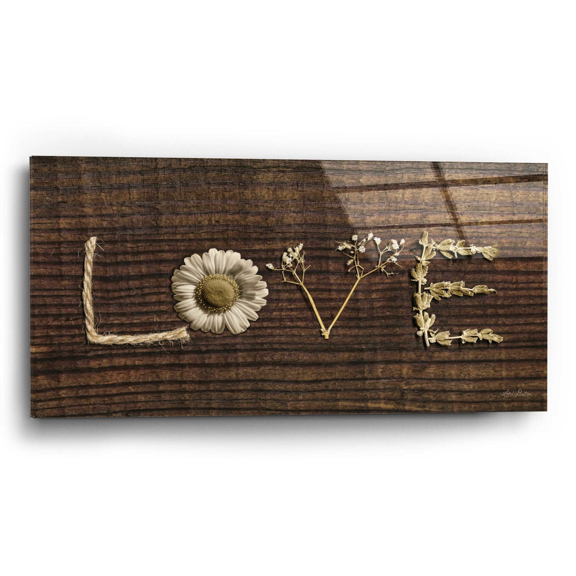 Epic Art 'Love is All You Need' by Lori Deiter Acrylic Glass Wall Art,24x12