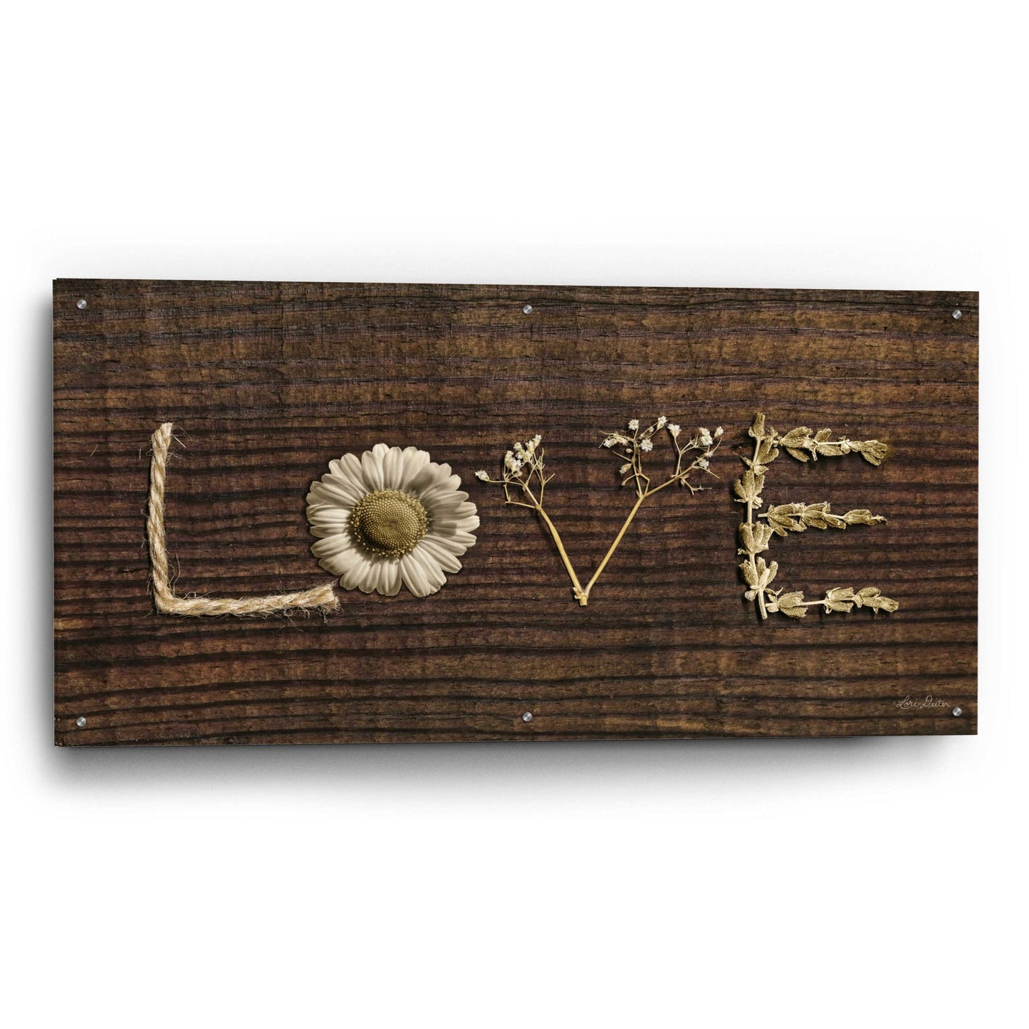 Epic Art 'Love is All You Need' by Lori Deiter Acrylic Glass Wall Art,48x24