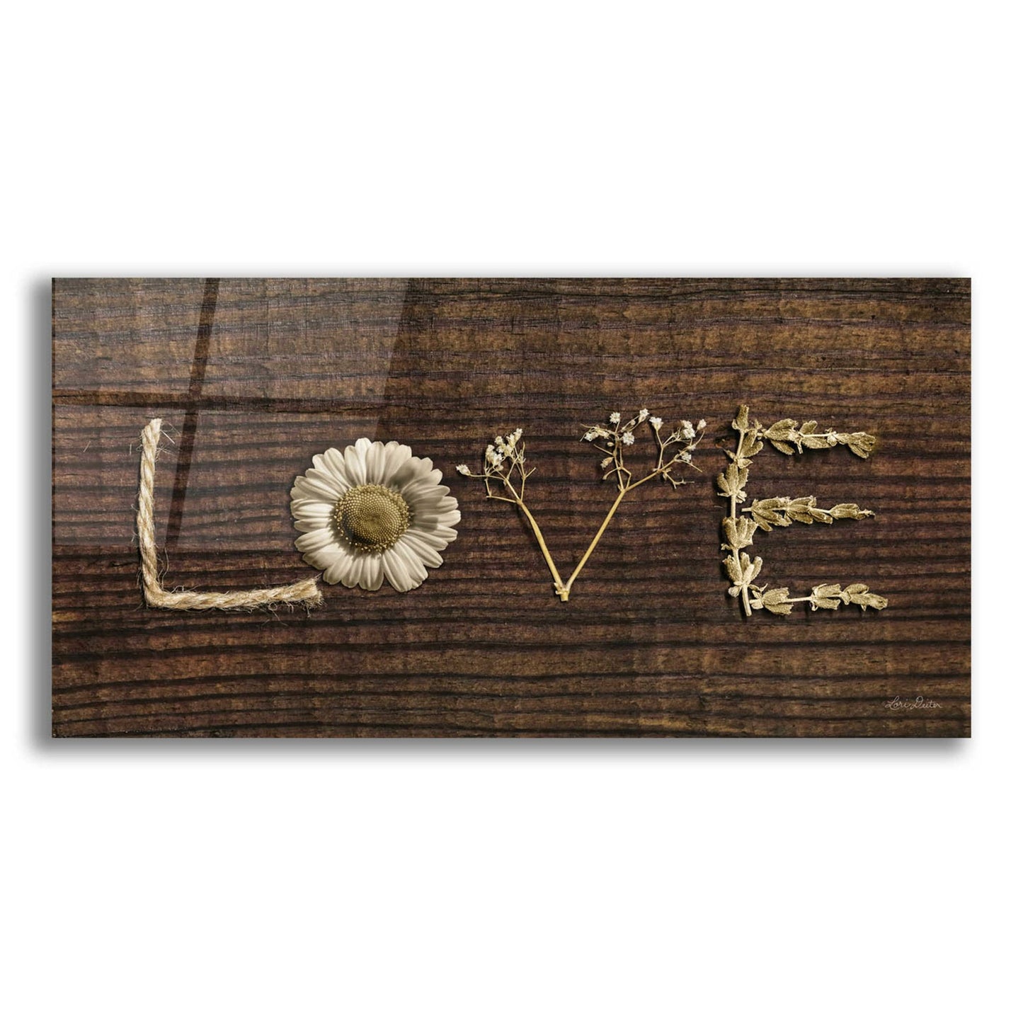 Epic Art 'Love is All You Need' by Lori Deiter Acrylic Glass Wall Art,2:1