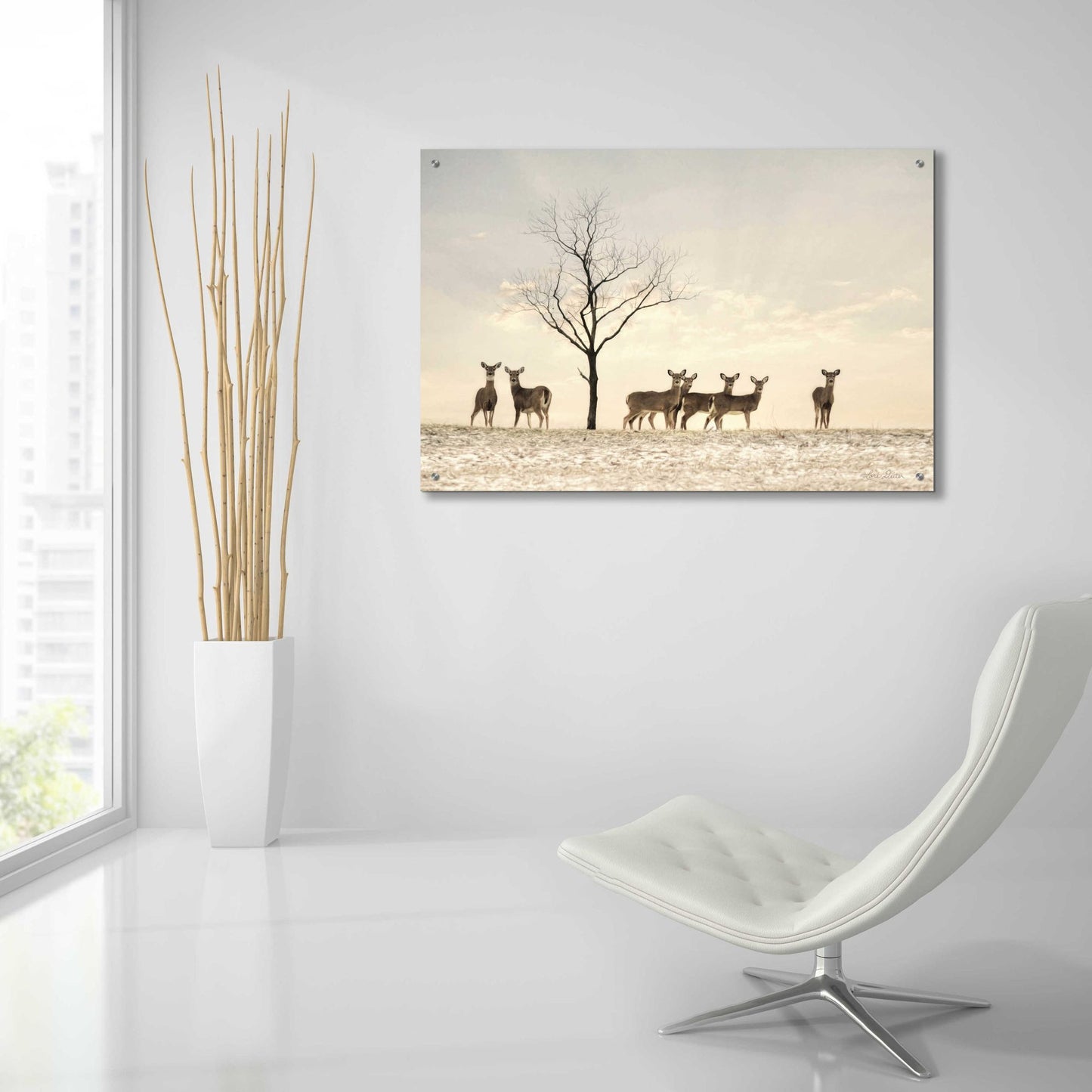 Epic Art 'Doe a Deer' by Lori Deiter Acrylic Glass Wall Art,36x24