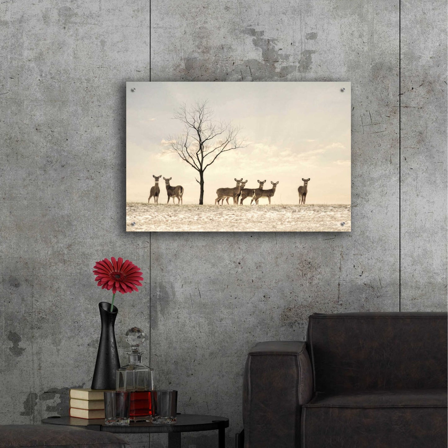 Epic Art 'Doe a Deer' by Lori Deiter Acrylic Glass Wall Art,36x24