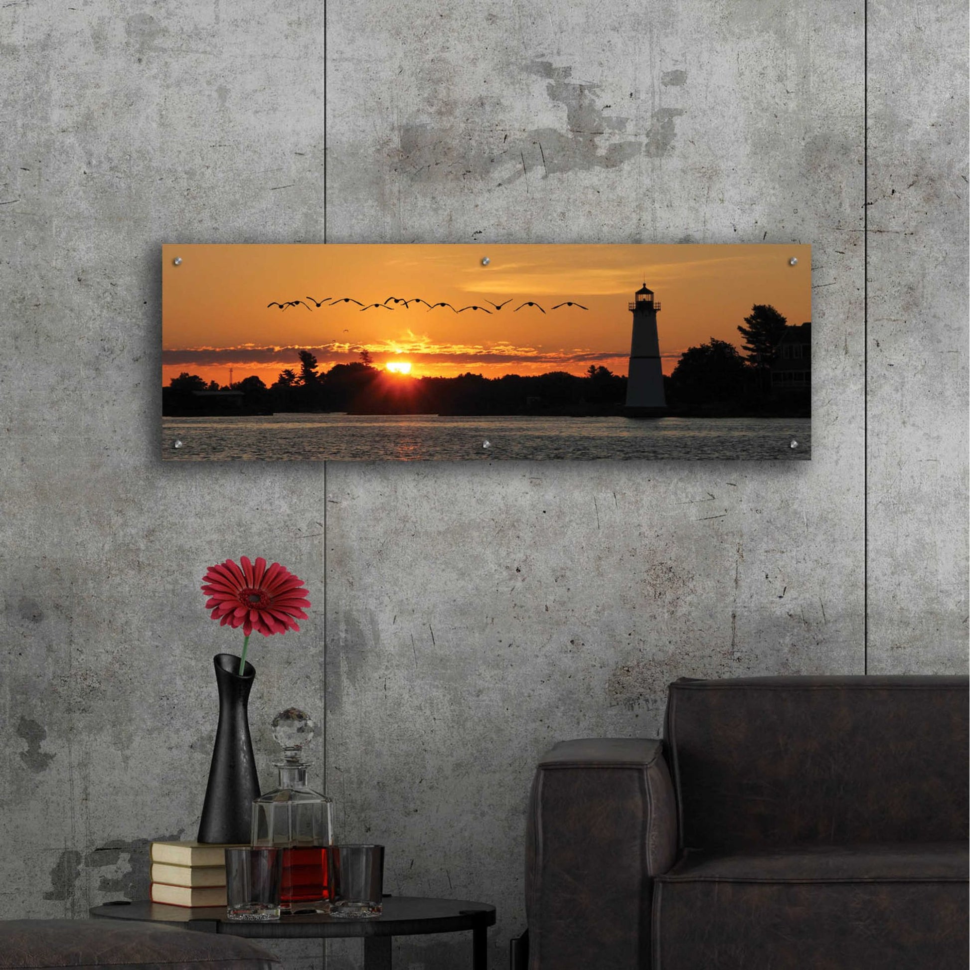 Epic Art 'Sunset Flight' by Lori Deiter Acrylic Glass Wall Art,48x16