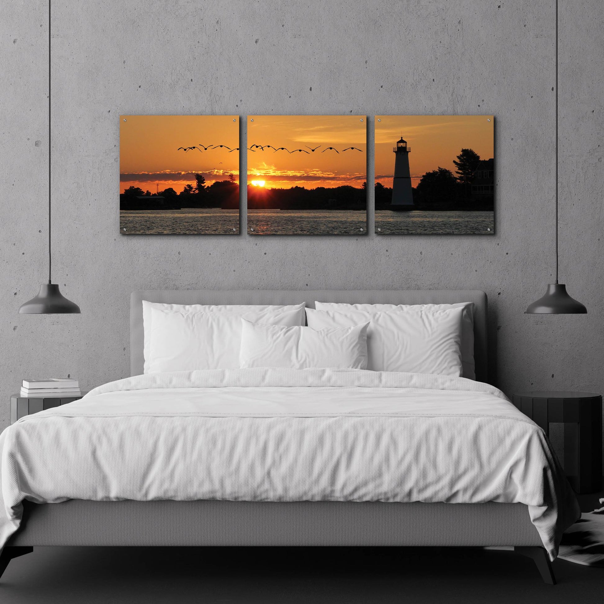 Epic Art 'Sunset Flight' by Lori Deiter Acrylic Glass Wall Art, 3 Piece Set,72x24