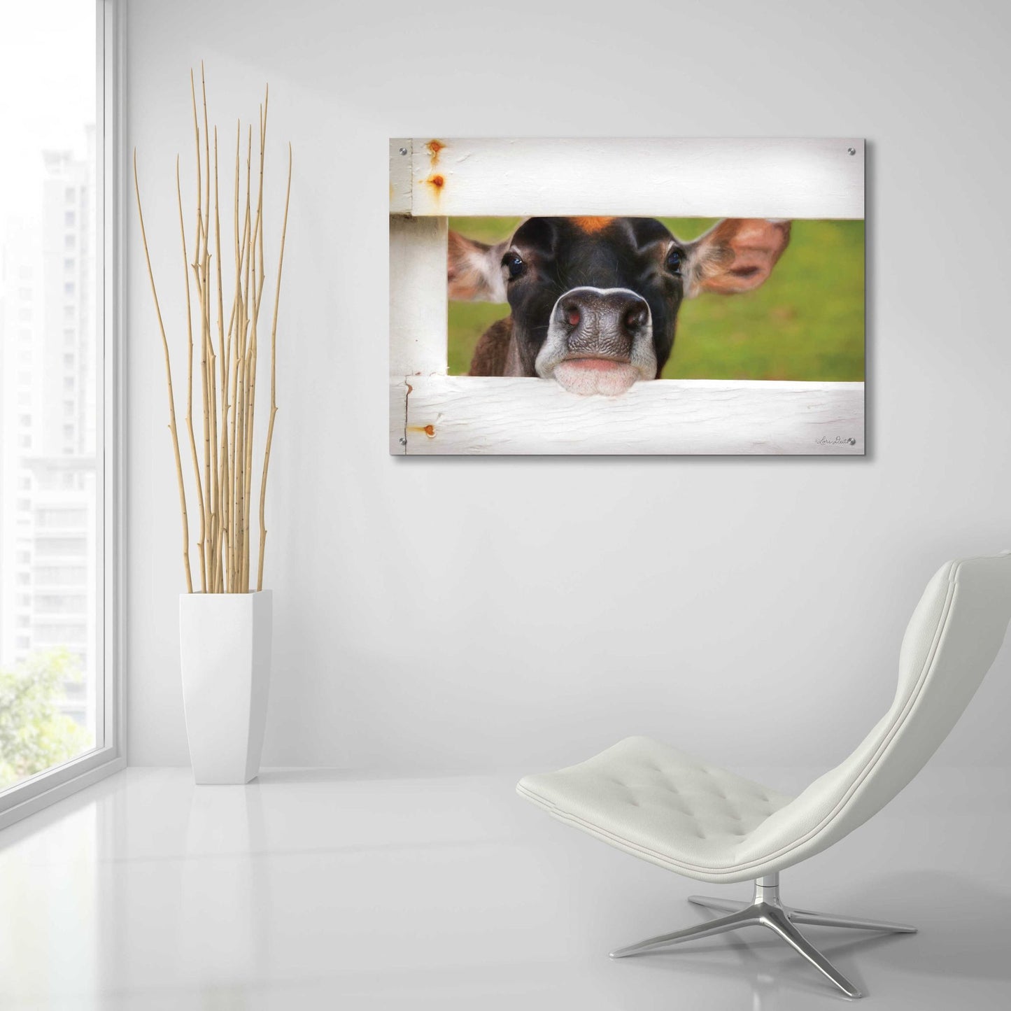 Epic Art 'Cow at Fence' by Lori Deiter Acrylic Glass Wall Art,36x24