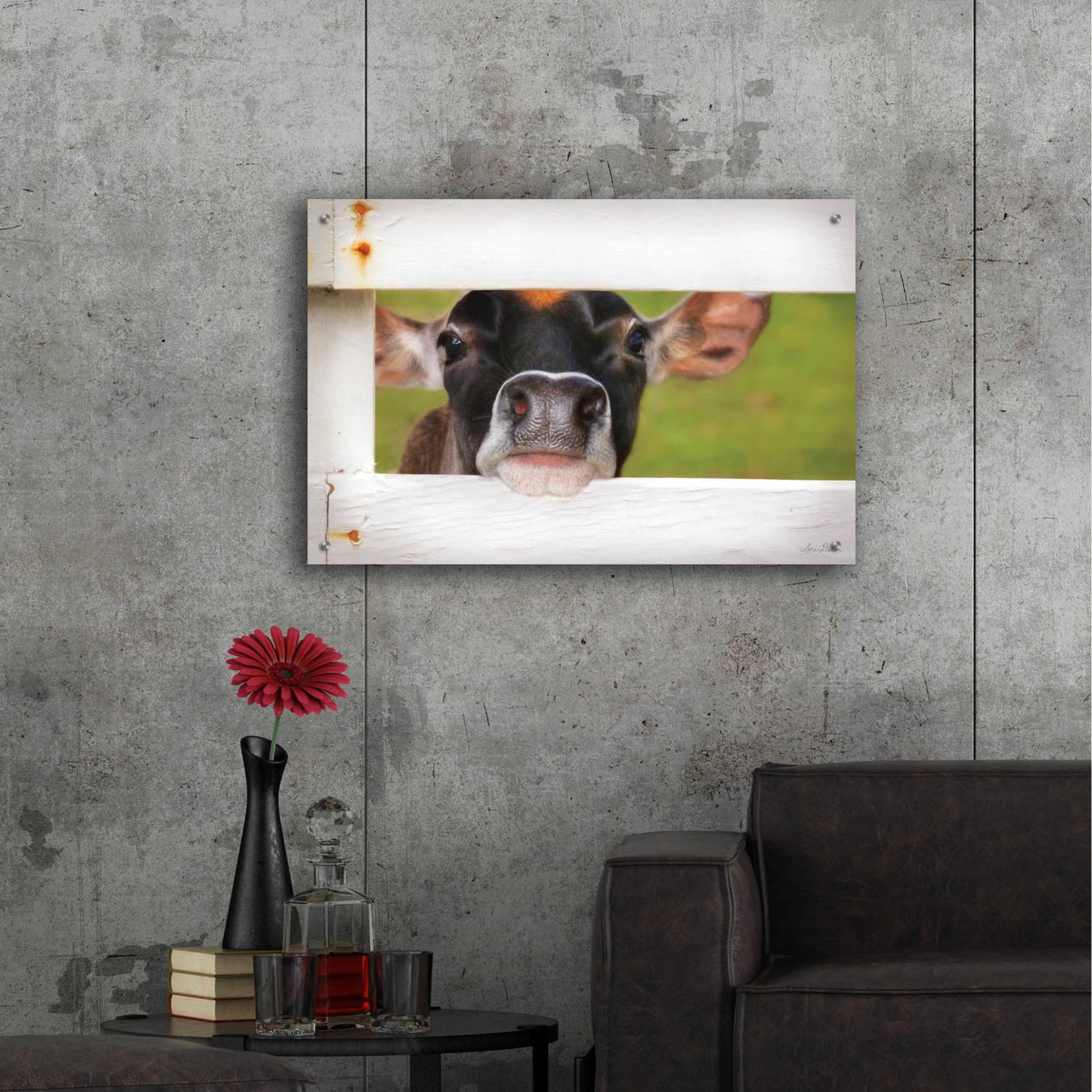 Epic Art 'Cow at Fence' by Lori Deiter Acrylic Glass Wall Art,36x24