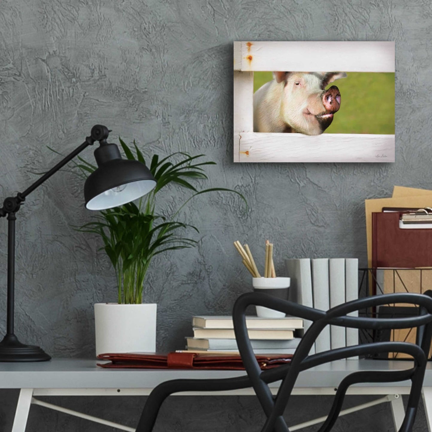 Epic Art 'Pig at Fence' by Lori Deiter Acrylic Glass Wall Art,16x12