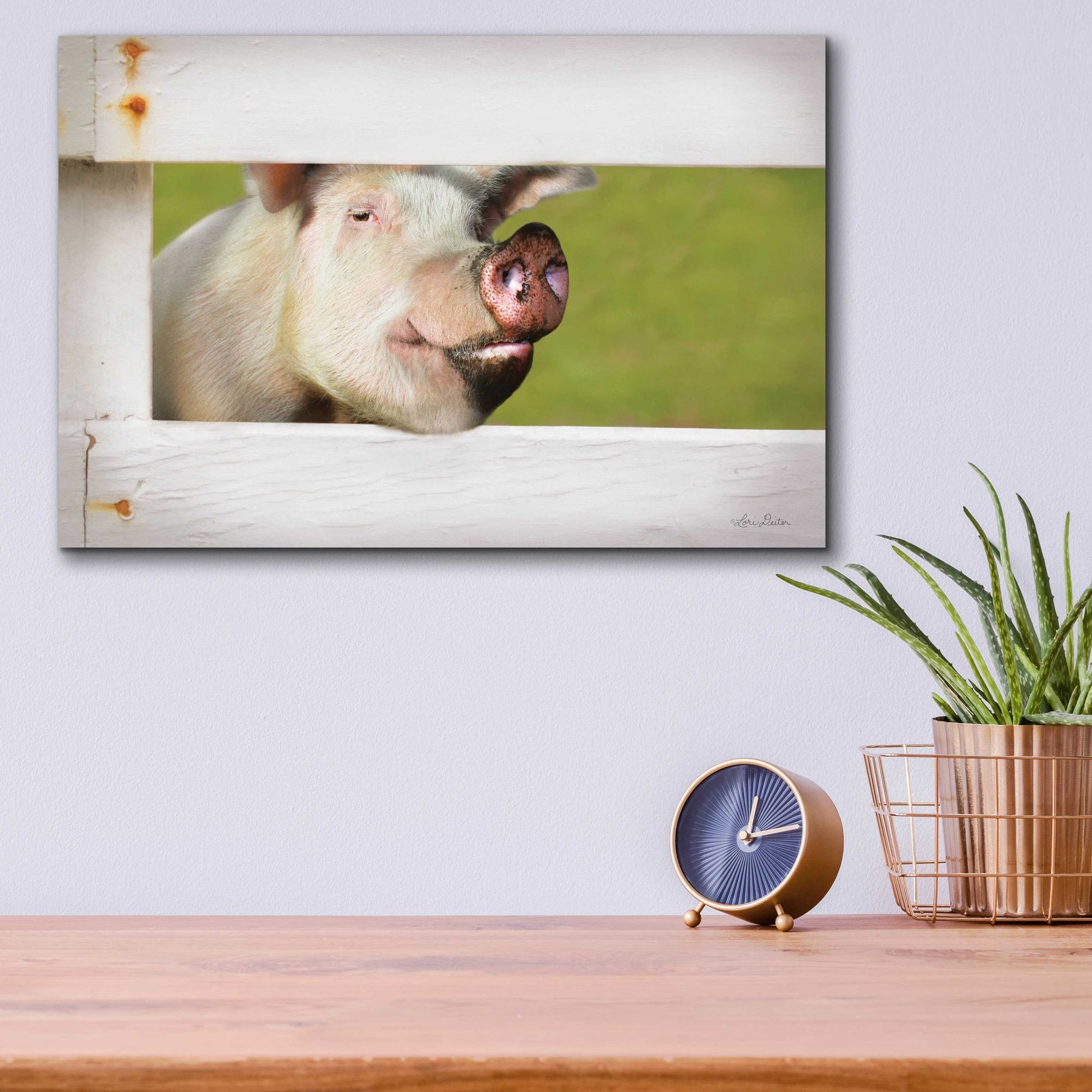 Epic Art 'Pig at Fence' by Lori Deiter Acrylic Glass Wall Art,16x12