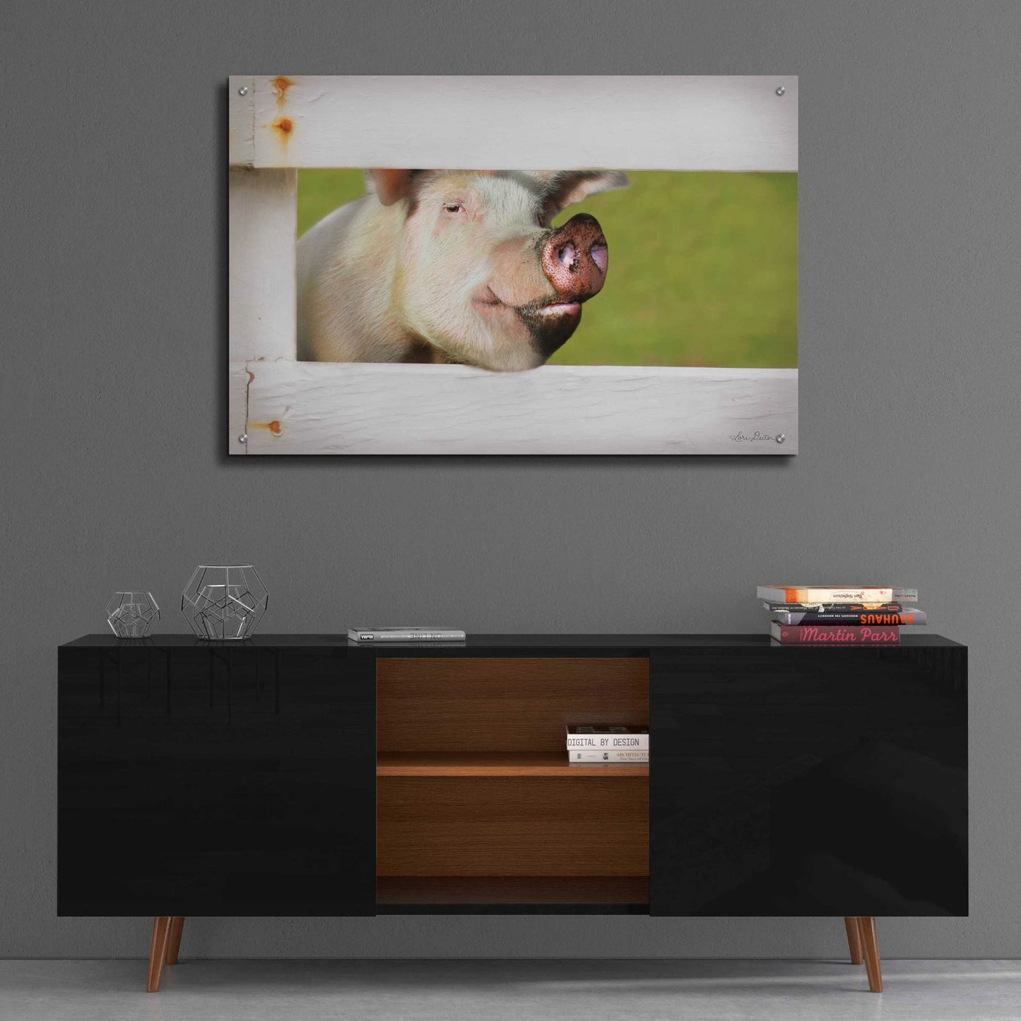 Epic Art 'Pig at Fence' by Lori Deiter Acrylic Glass Wall Art,36x24