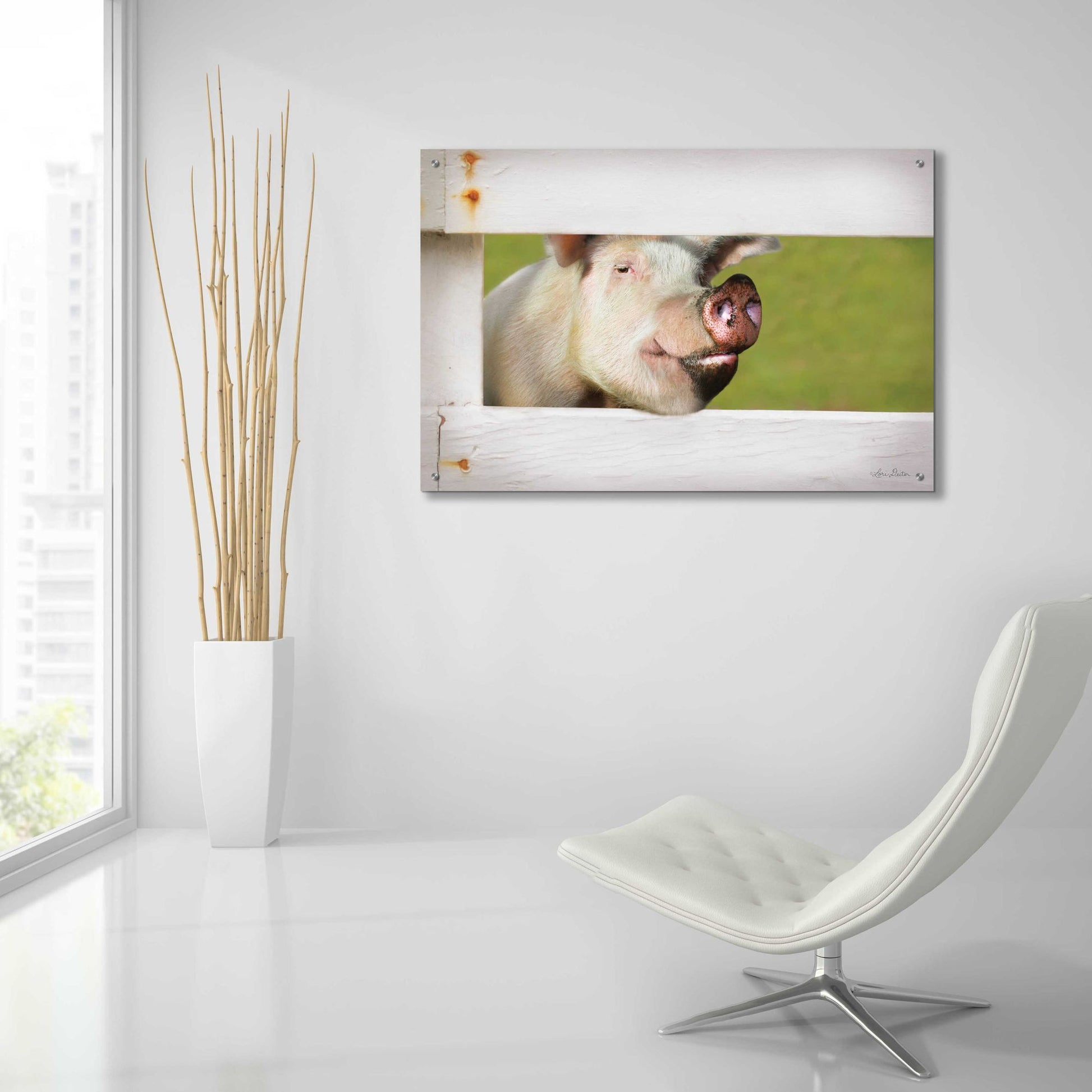 Epic Art 'Pig at Fence' by Lori Deiter Acrylic Glass Wall Art,36x24