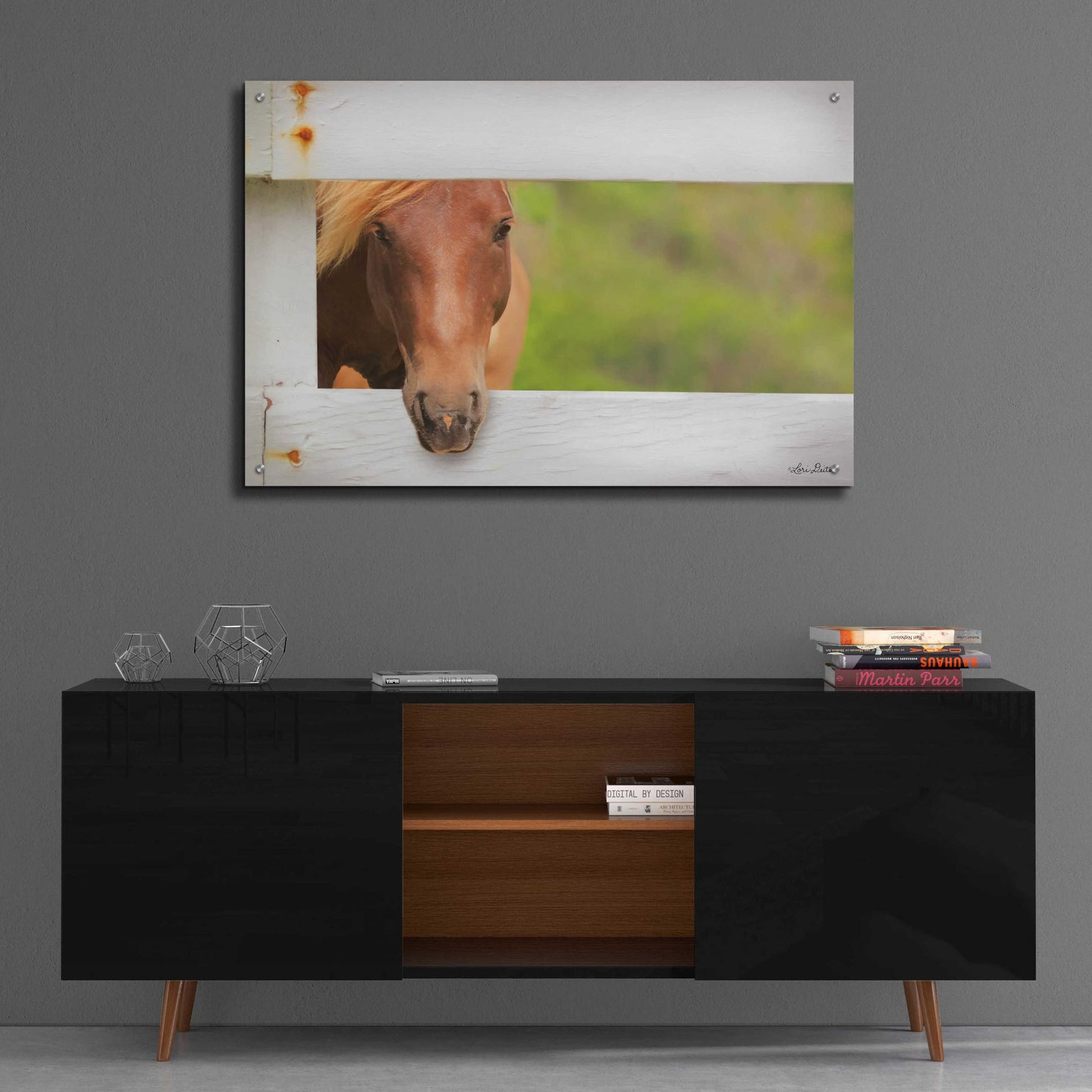 Epic Art 'Horse at Fence' by Lori Deiter Acrylic Glass Wall Art,36x24