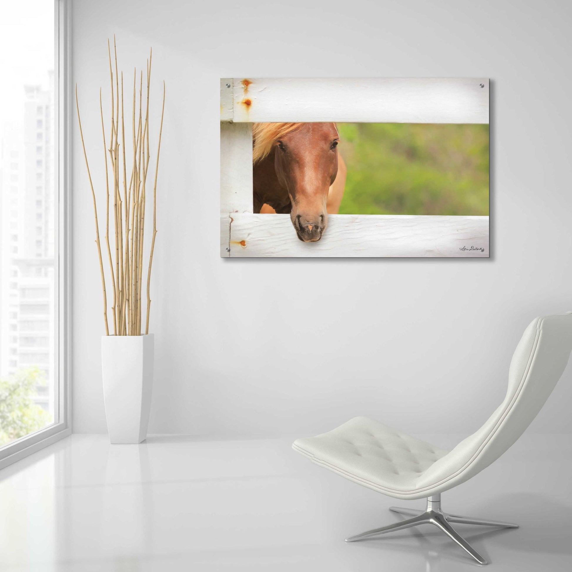 Epic Art 'Horse at Fence' by Lori Deiter Acrylic Glass Wall Art,36x24