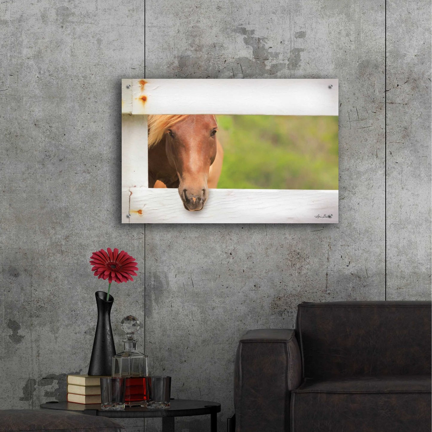 Epic Art 'Horse at Fence' by Lori Deiter Acrylic Glass Wall Art,36x24