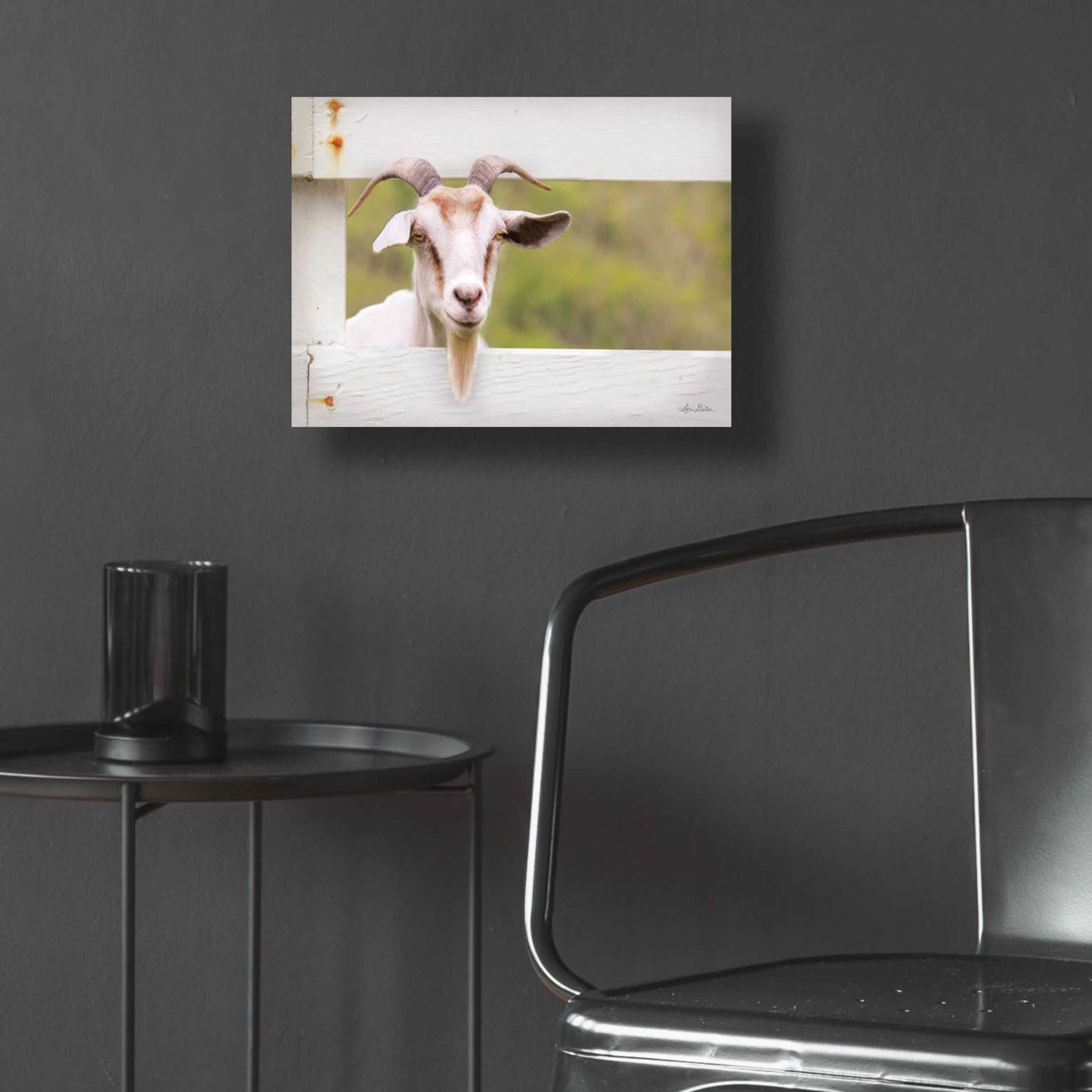 Epic Art 'Goat at Fence' by Lori Deiter Acrylic Glass Wall Art,16x12