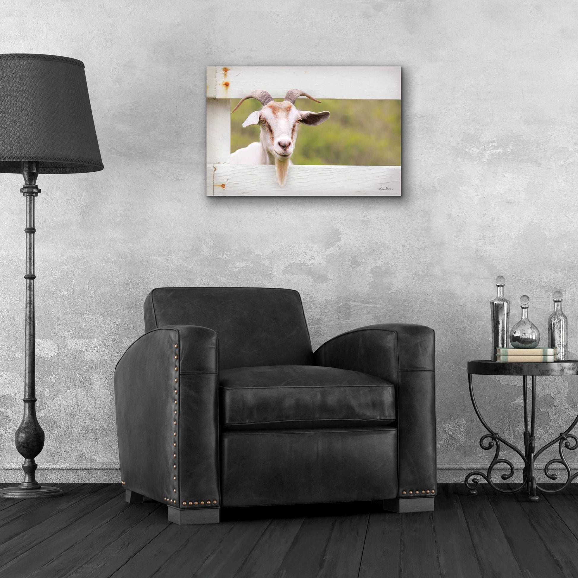 Epic Art 'Goat at Fence' by Lori Deiter Acrylic Glass Wall Art,24x16