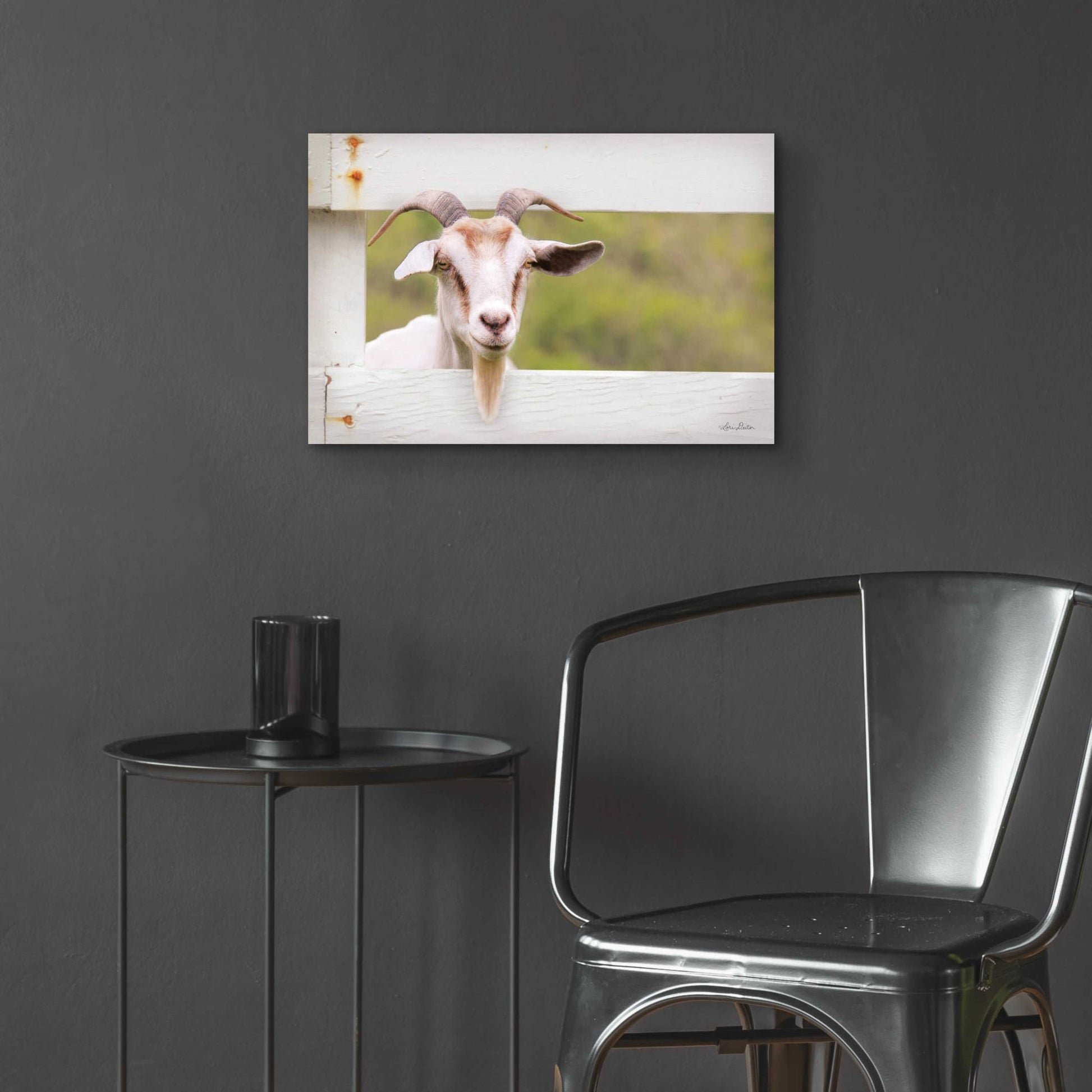 Epic Art 'Goat at Fence' by Lori Deiter Acrylic Glass Wall Art,24x16