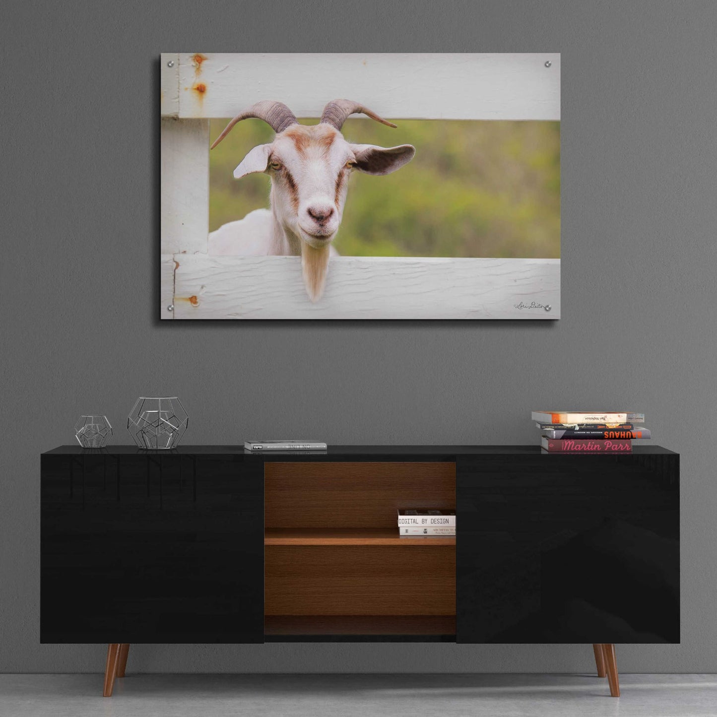 Epic Art 'Goat at Fence' by Lori Deiter Acrylic Glass Wall Art,36x24