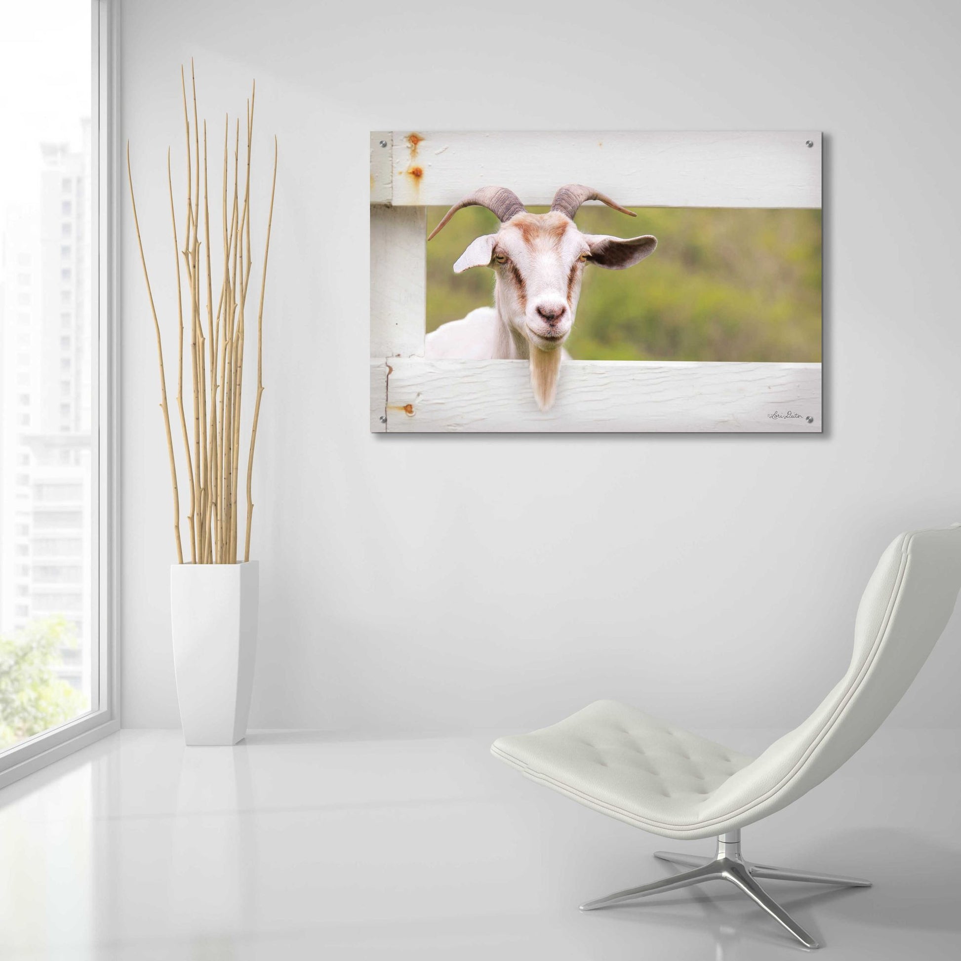 Epic Art 'Goat at Fence' by Lori Deiter Acrylic Glass Wall Art,36x24