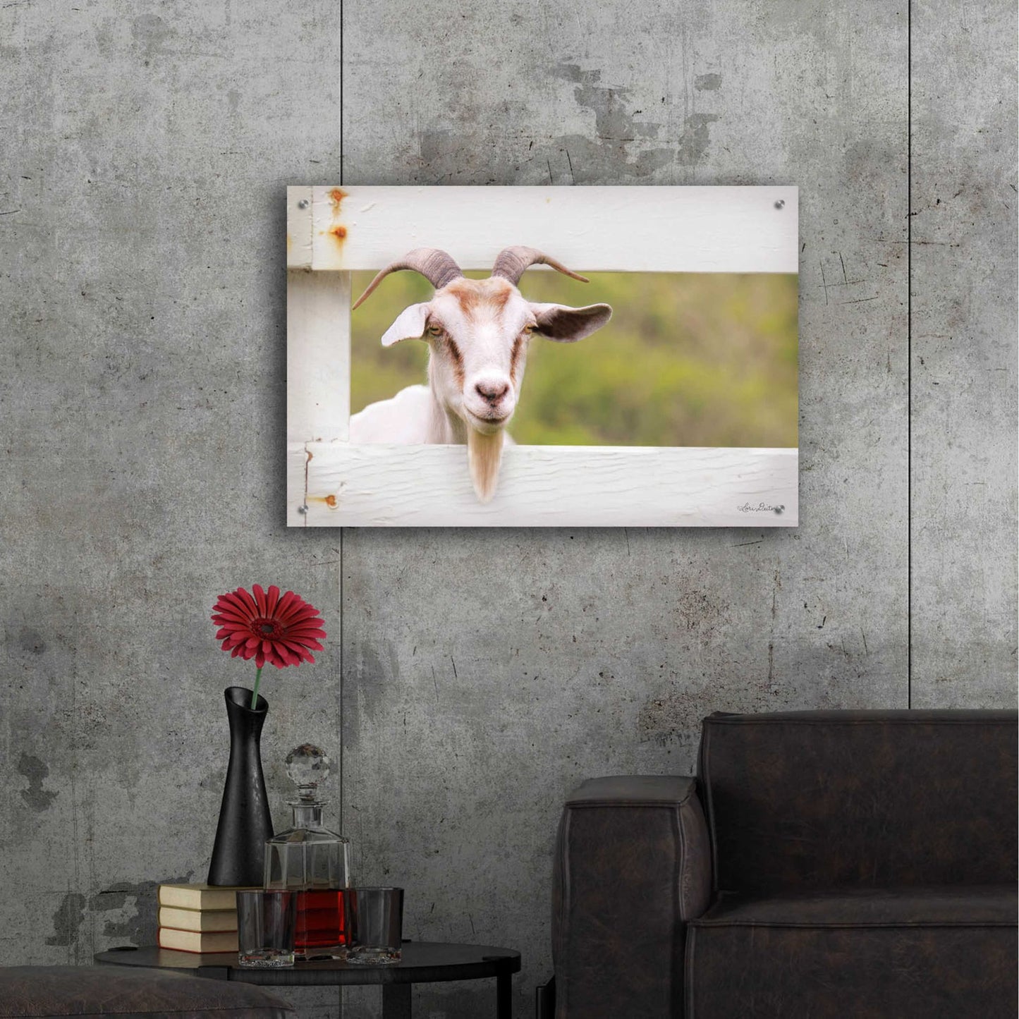 Epic Art 'Goat at Fence' by Lori Deiter Acrylic Glass Wall Art,36x24