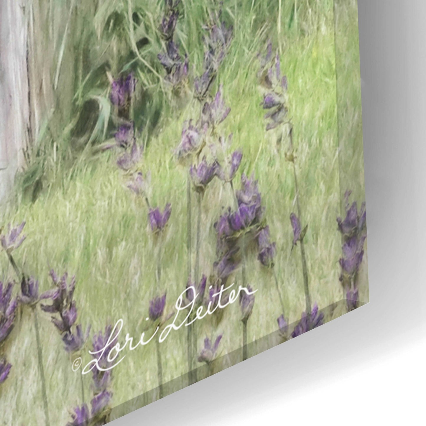 Epic Art 'Lavender Outhouse' by Lori Deiter Acrylic Glass Wall Art,16x24