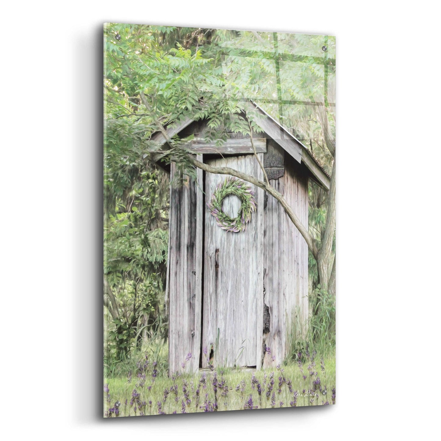 Epic Art 'Lavender Outhouse' by Lori Deiter Acrylic Glass Wall Art,24x36