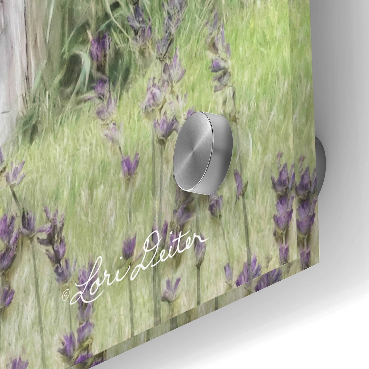 Epic Art 'Lavender Outhouse' by Lori Deiter Acrylic Glass Wall Art,24x36