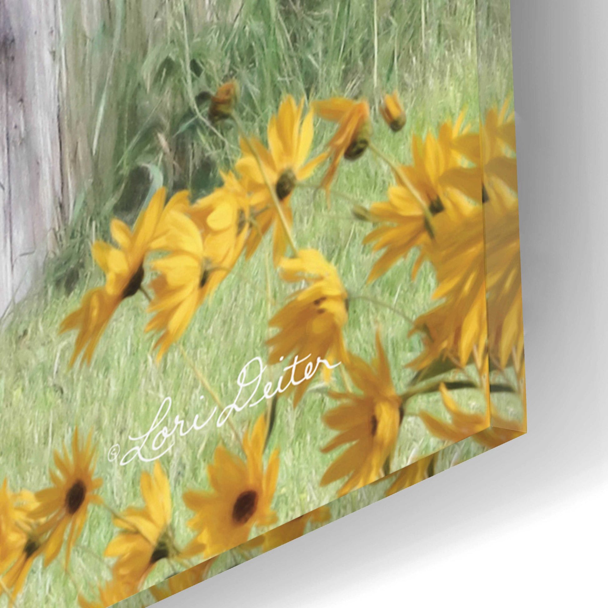 Epic Art 'Flower Power' by Lori Deiter Acrylic Glass Wall Art,12x16