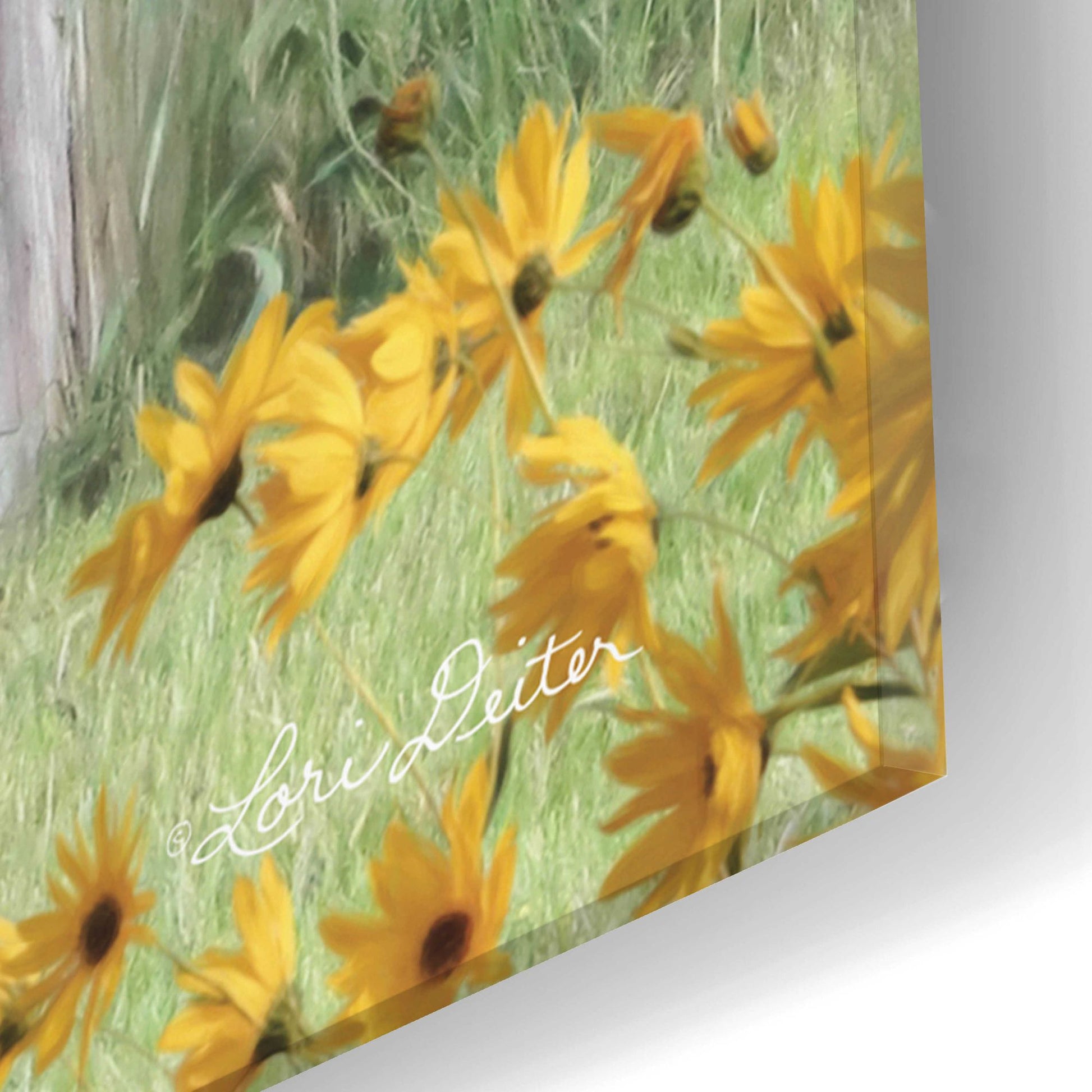 Epic Art 'Flower Power' by Lori Deiter Acrylic Glass Wall Art,16x24