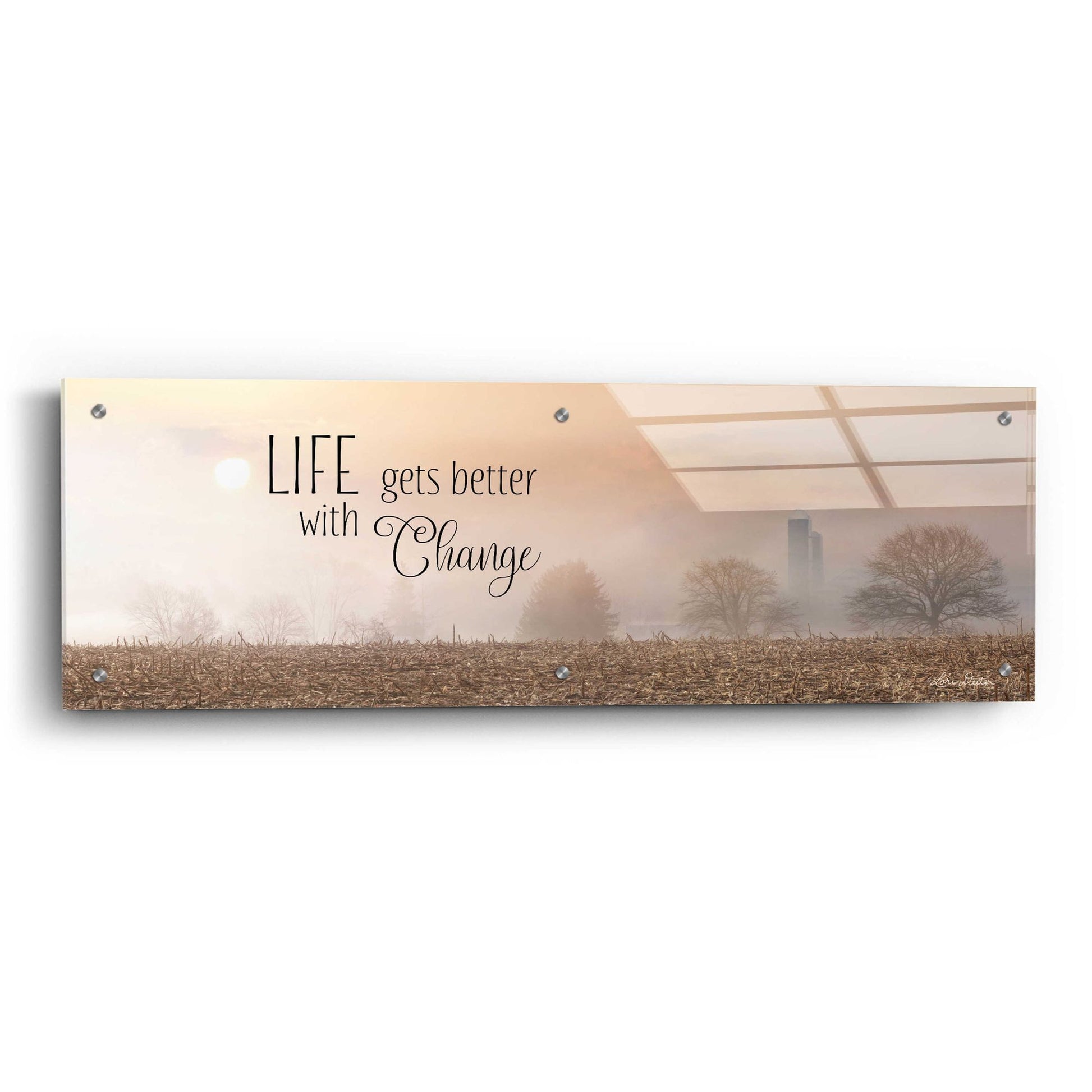 Epic Art 'Life Gets Better with Change' by Lori Deiter Acrylic Glass Wall Art,36x12