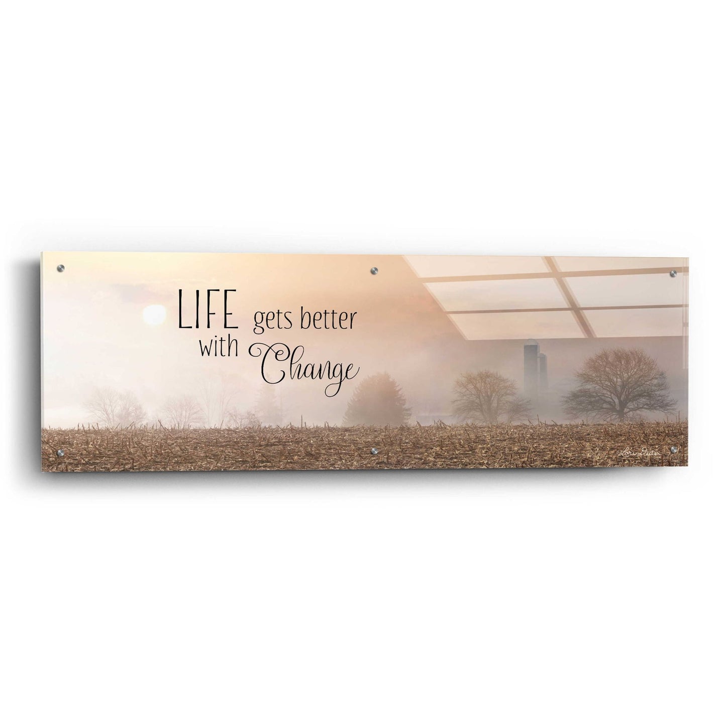 Epic Art 'Life Gets Better with Change' by Lori Deiter Acrylic Glass Wall Art,48x16