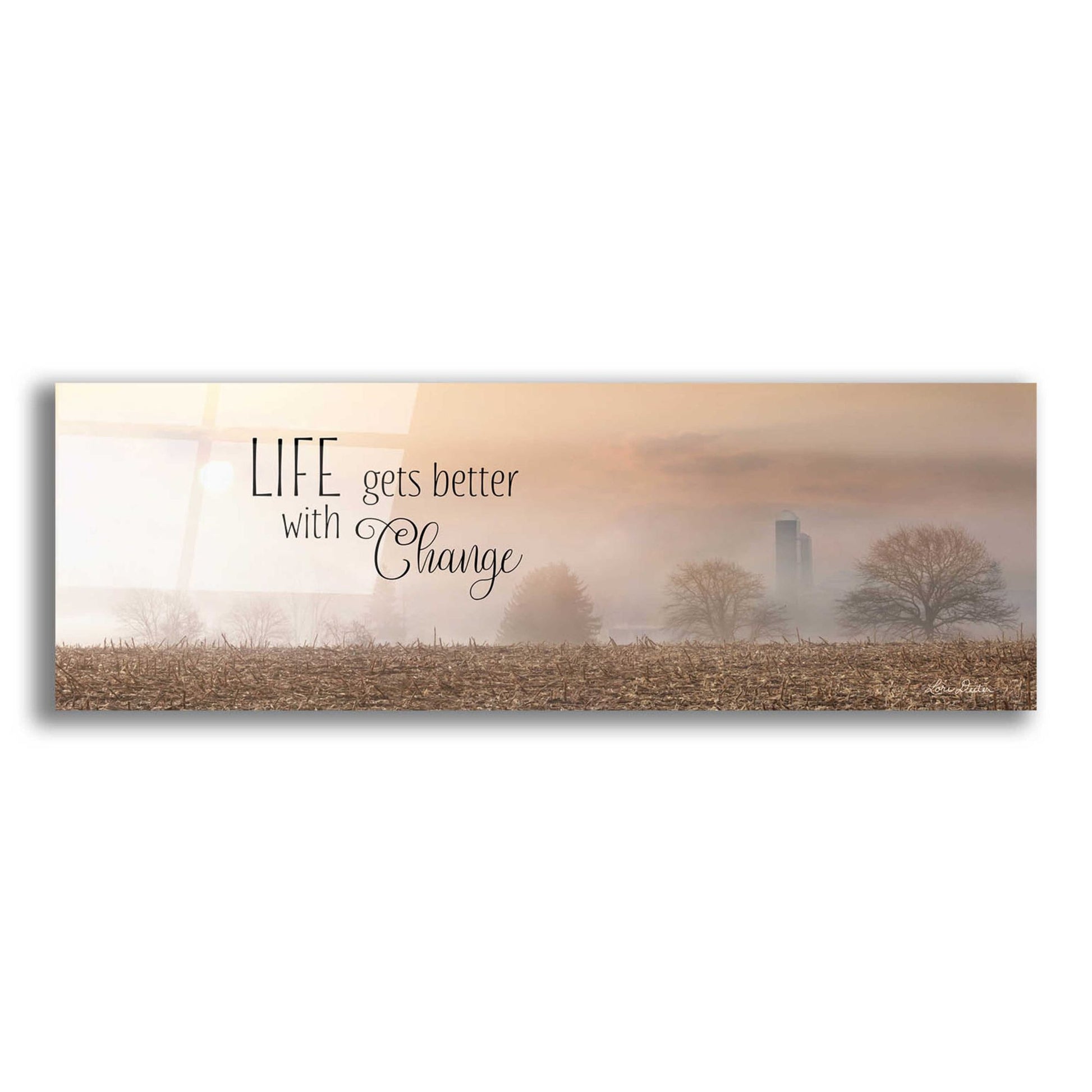 Epic Art 'Life Gets Better with Change' by Lori Deiter Acrylic Glass Wall Art,3:1