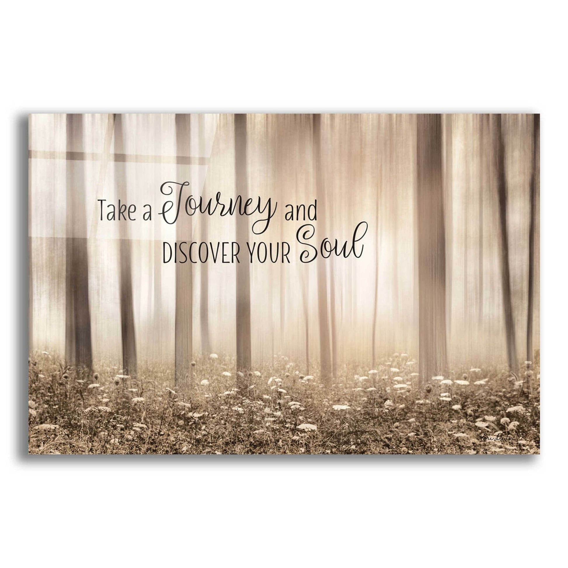 Epic Art 'Take a Journey and Discover Your Soul' by Lori Deiter Acrylic Glass Wall Art,24x16