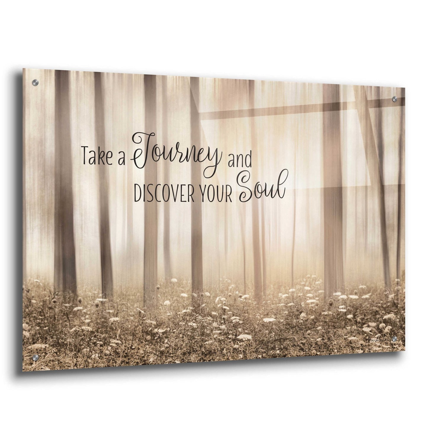 Epic Art 'Take a Journey and Discover Your Soul' by Lori Deiter Acrylic Glass Wall Art,36x24