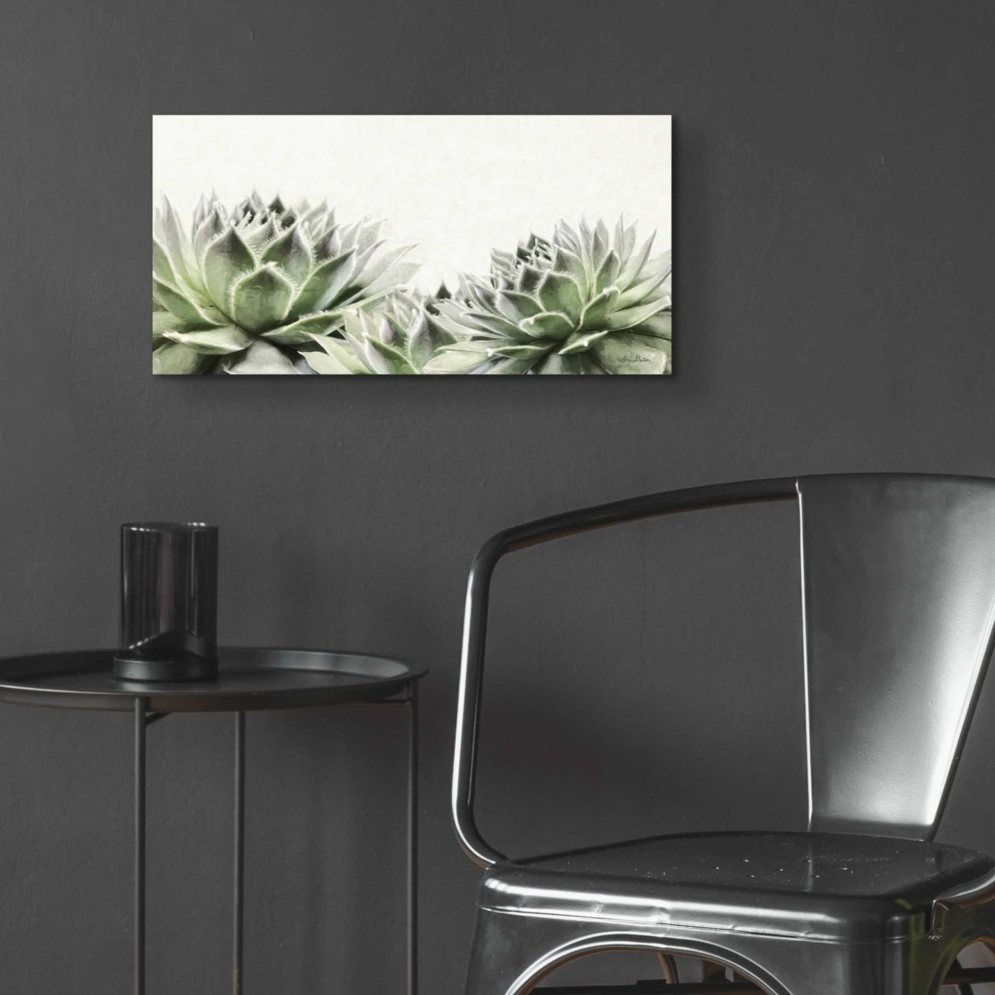 Epic Art 'Soft Succulents I' by Lori Deiter Acrylic Glass Wall Art,24x12