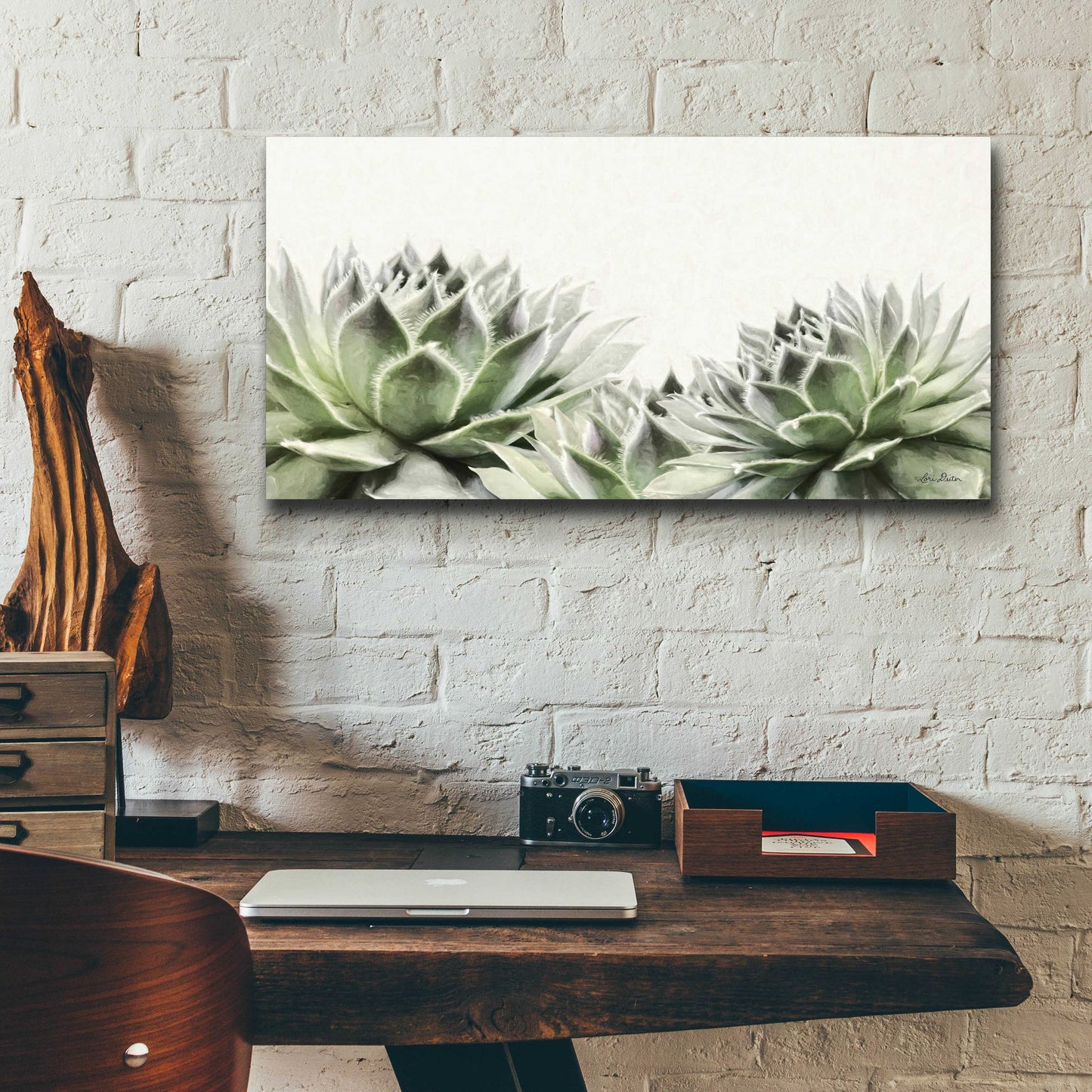 Epic Art 'Soft Succulents I' by Lori Deiter Acrylic Glass Wall Art,24x12