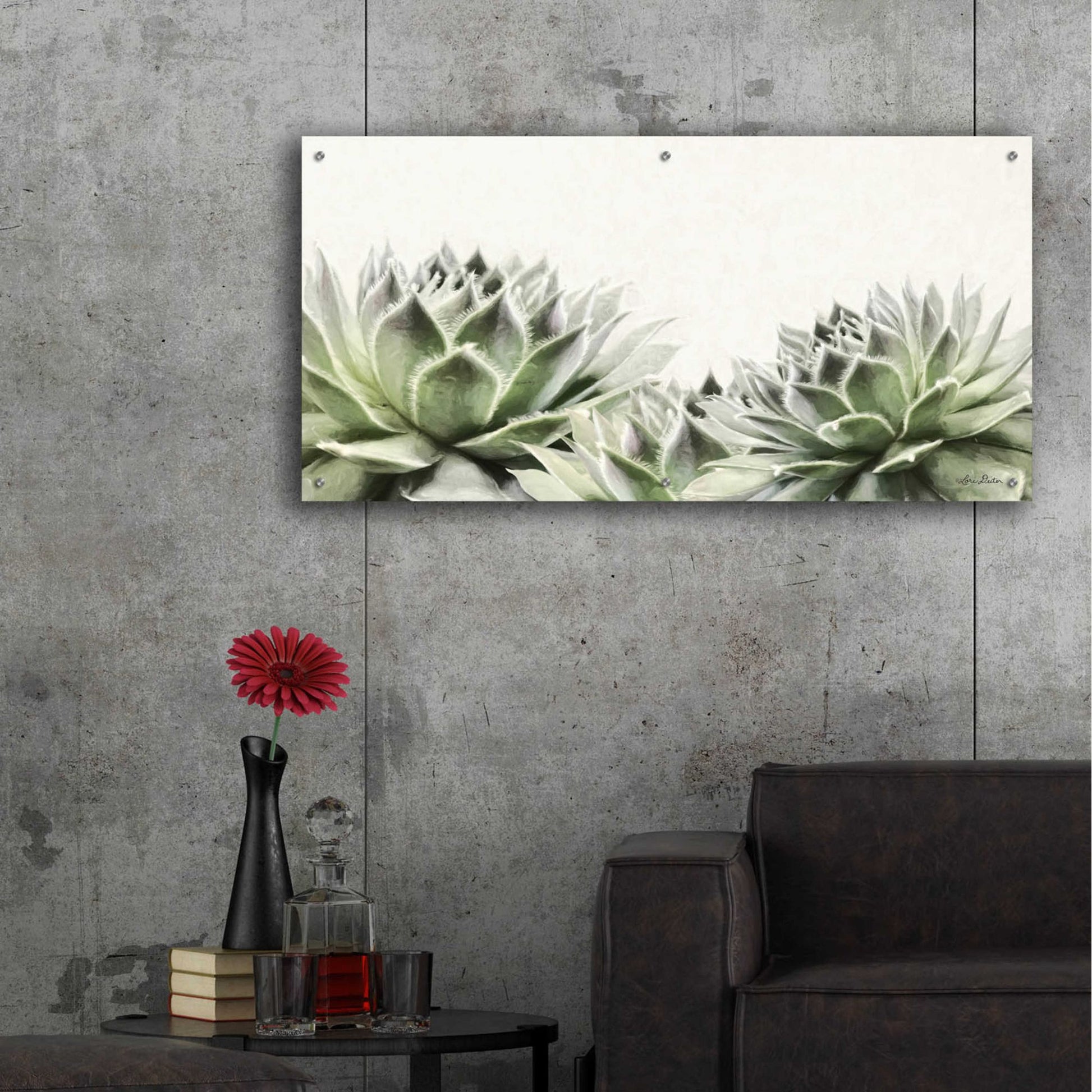 Epic Art 'Soft Succulents I' by Lori Deiter Acrylic Glass Wall Art,48x24