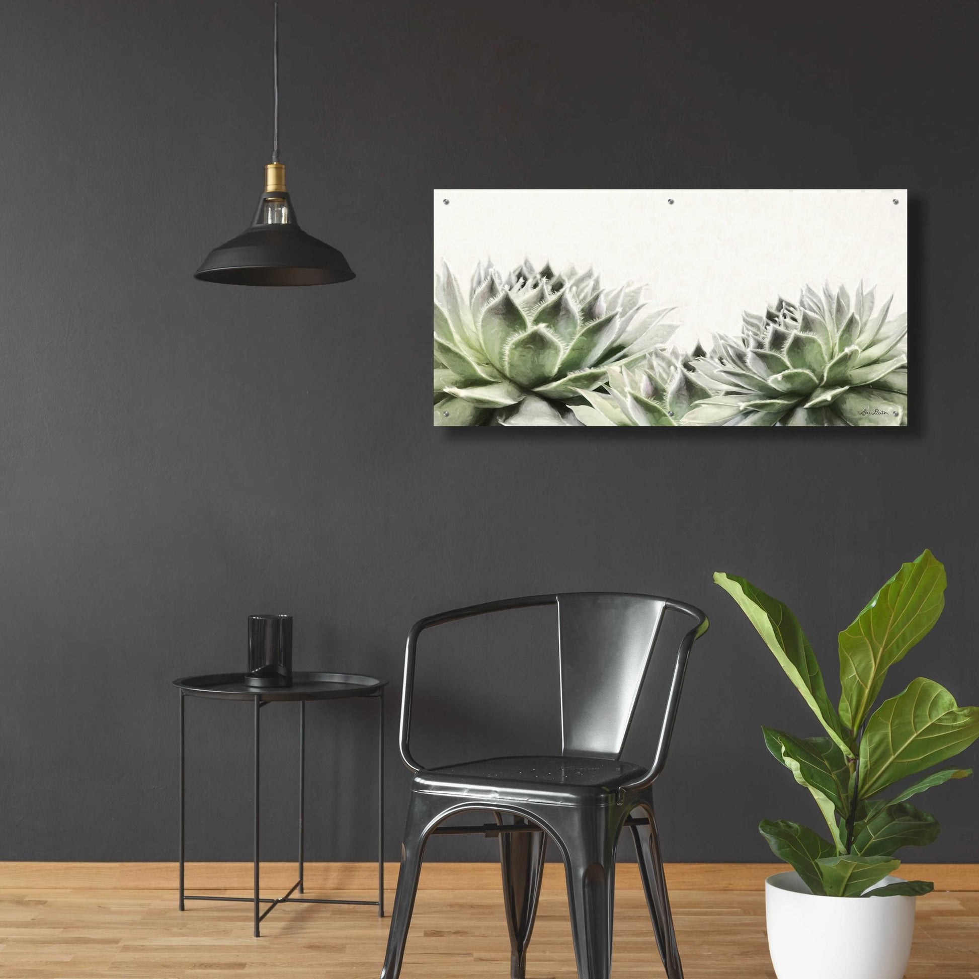 Epic Art 'Soft Succulents I' by Lori Deiter Acrylic Glass Wall Art,48x24