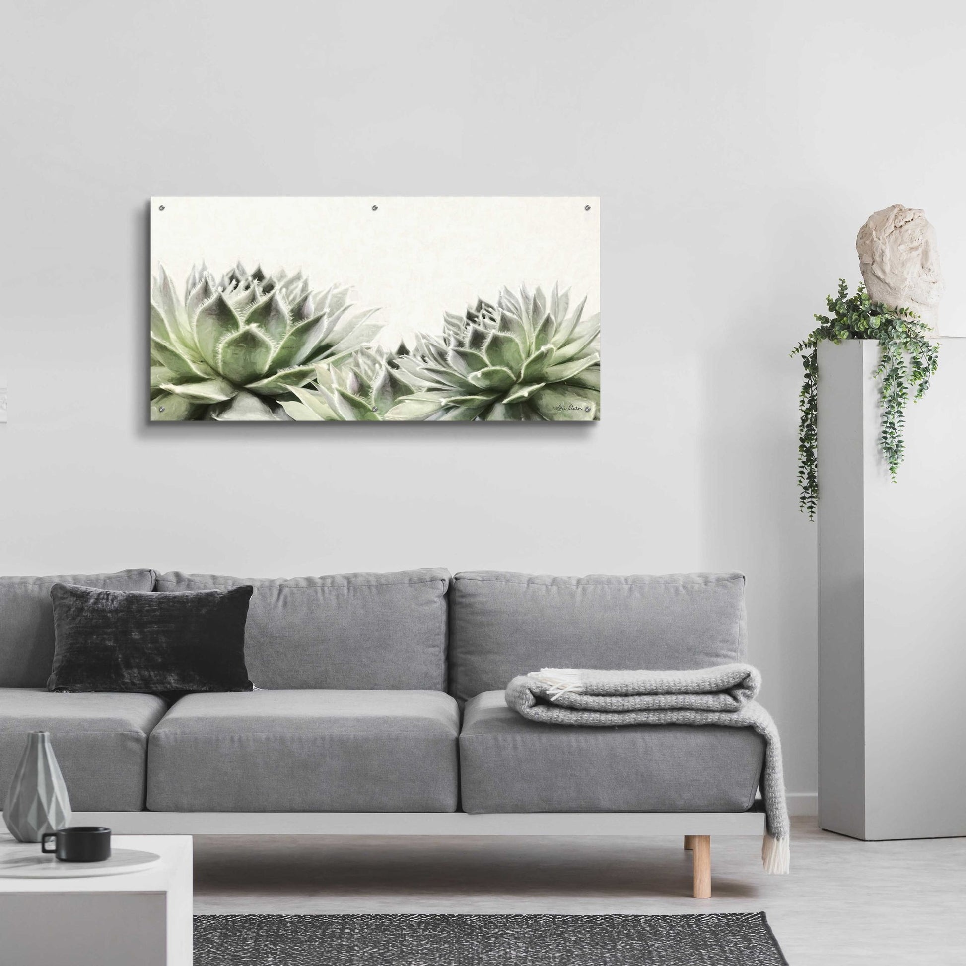 Epic Art 'Soft Succulents I' by Lori Deiter Acrylic Glass Wall Art,48x24