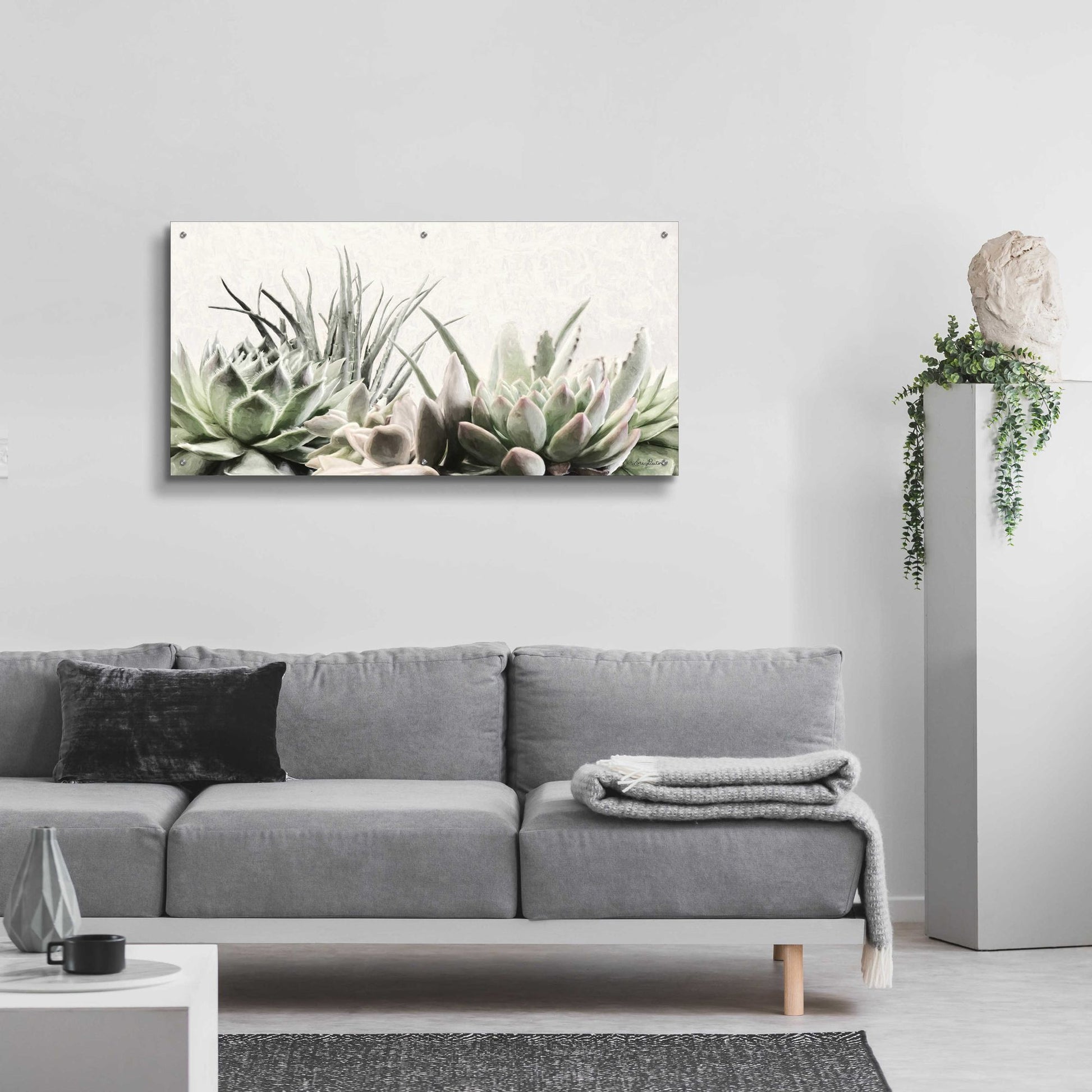 Epic Art 'Soft Succulents II' by Lori Deiter Acrylic Glass Wall Art,48x24